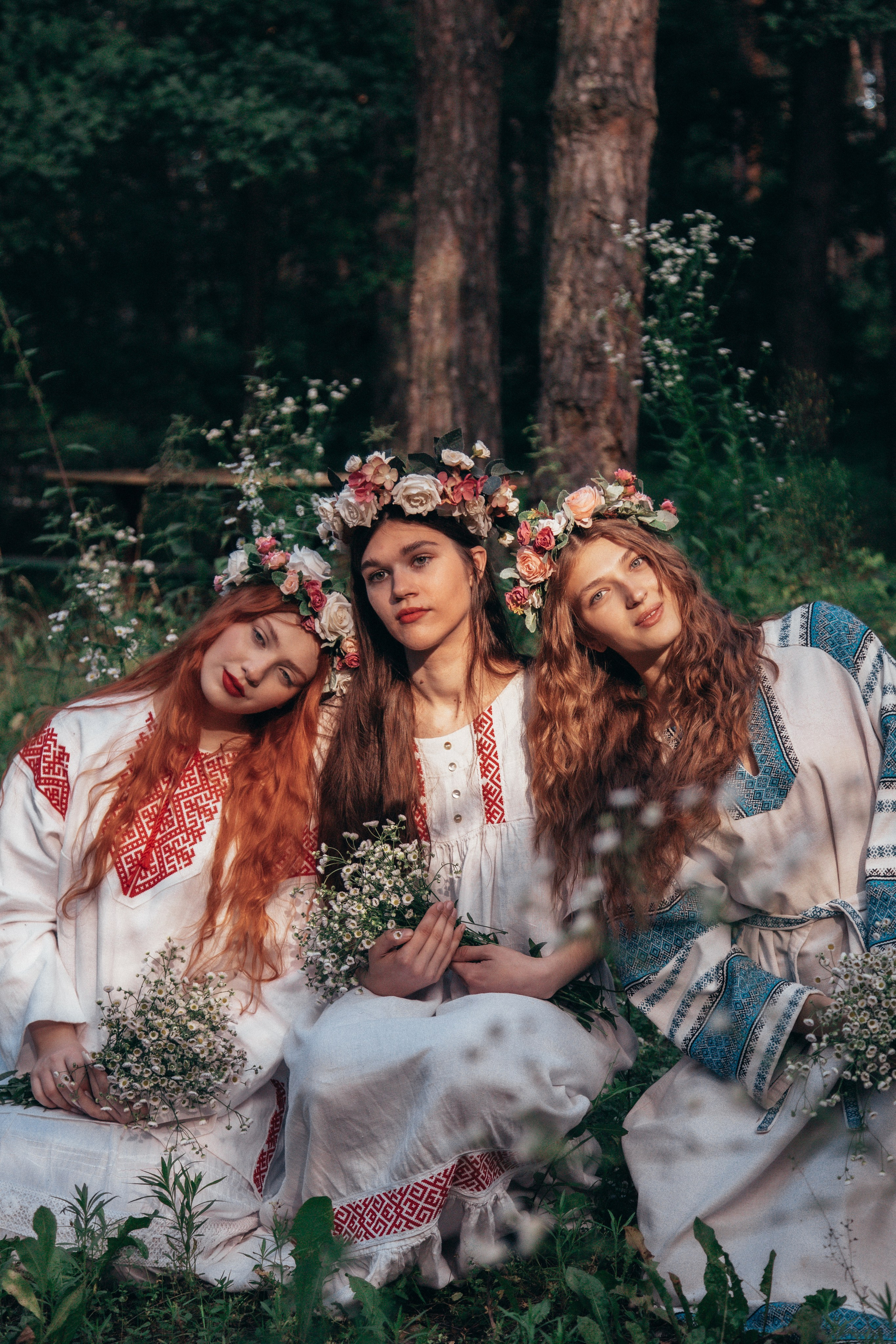 Волшебный лес. Фотограф Михайлова Анастасия | Белгород