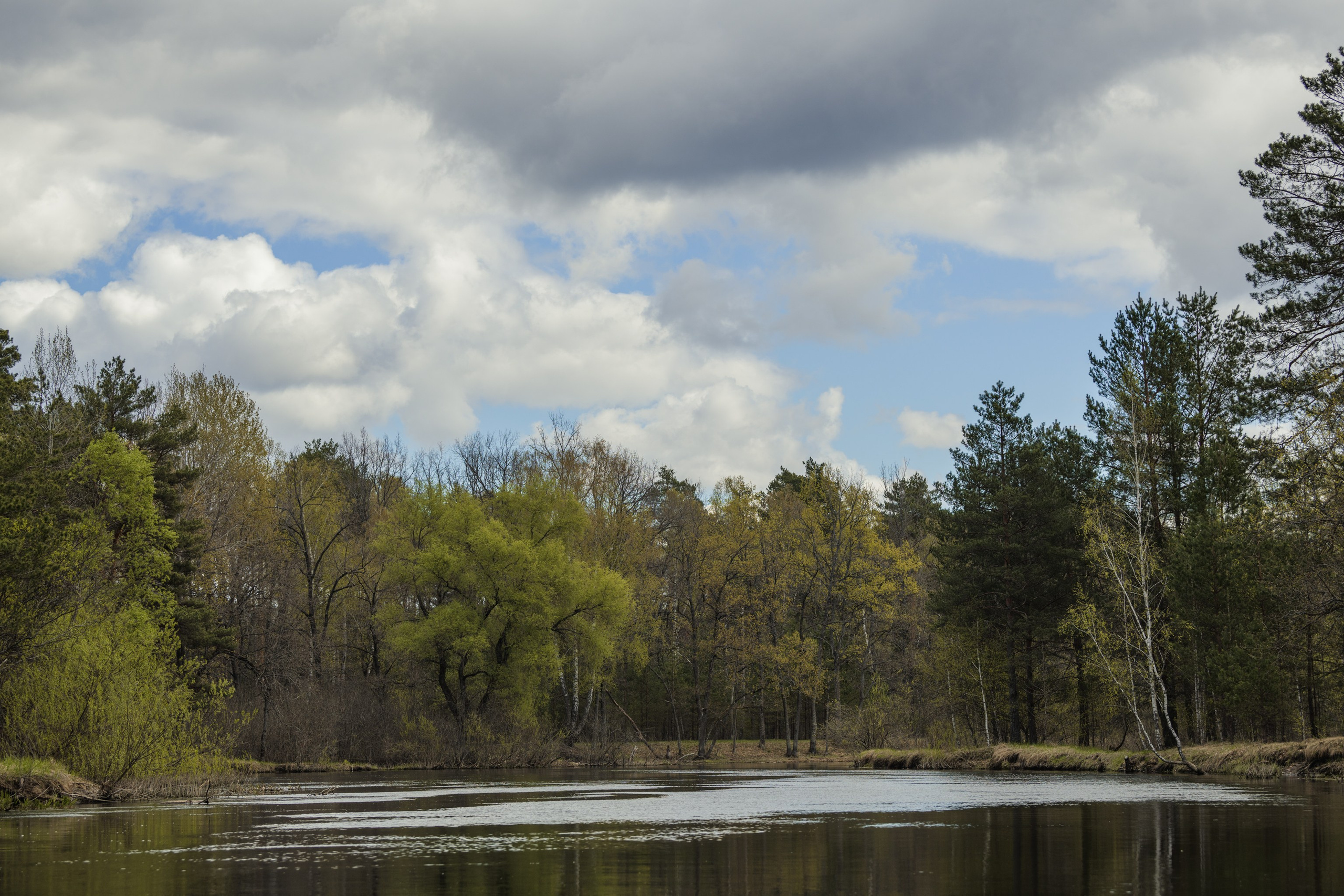 Водный поход 1-й кс по реке Случь. Репортажный фотограф Владимир Беляй