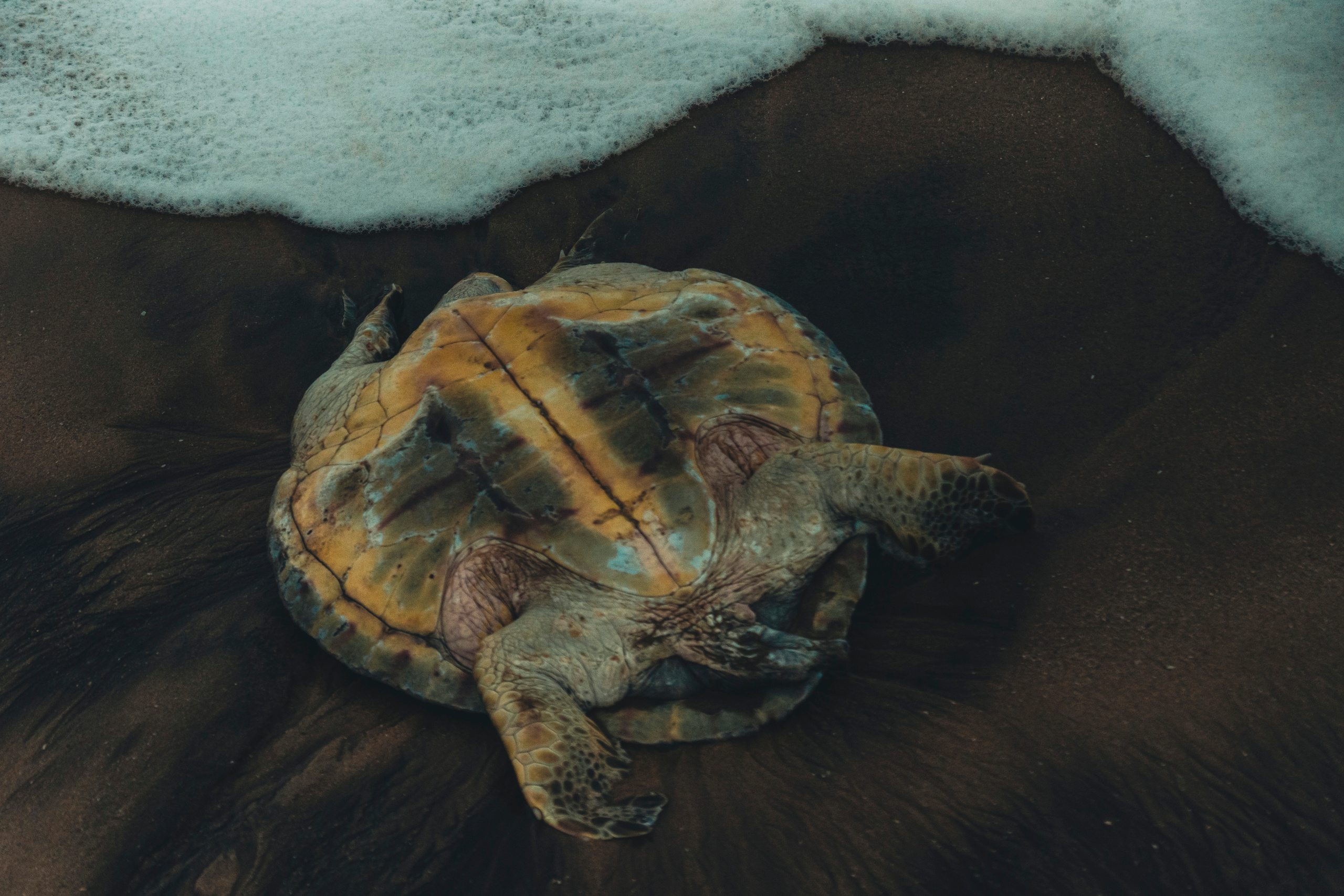 Beach-vibe. Портретный фотограф в Смоленске и Москве Мария Громова