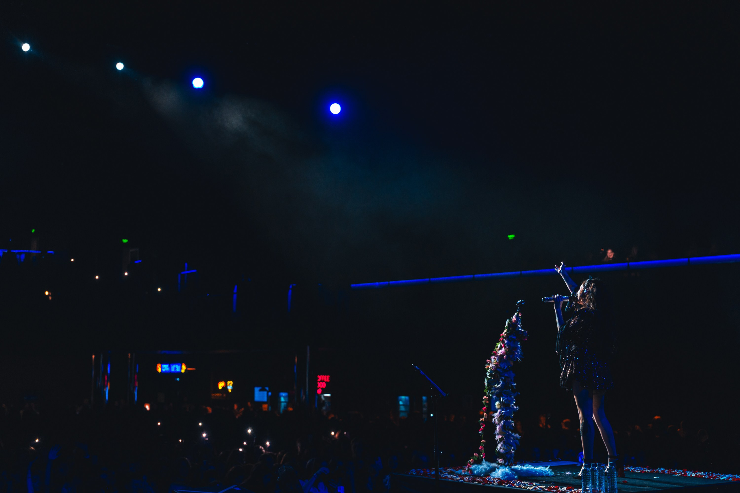 Алена Швец. Магия музыки в кадре: Концертная Фотография