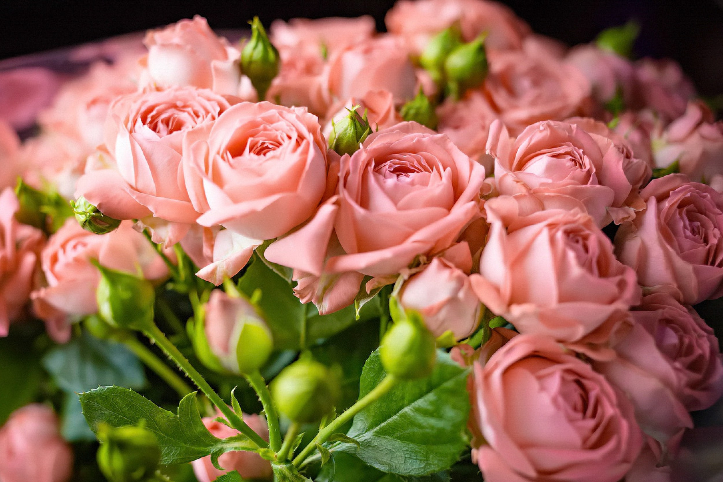 Геворк Багдасаров — фотограф в Москве