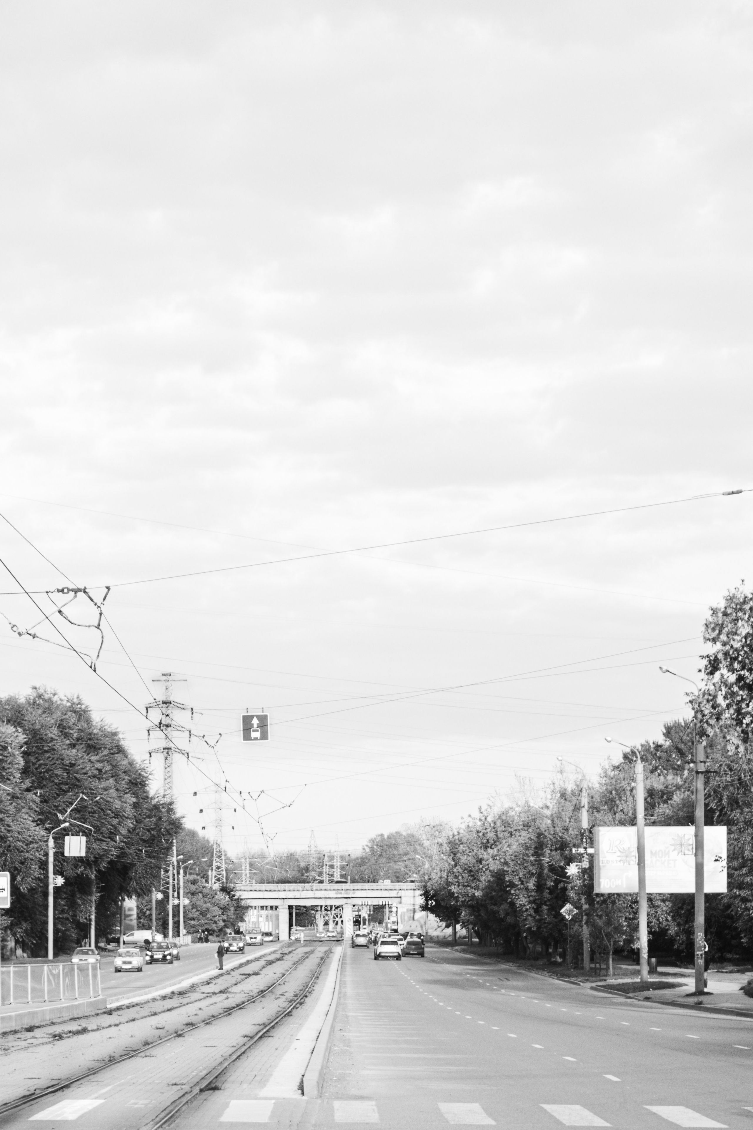 Guidelines. Whoii art