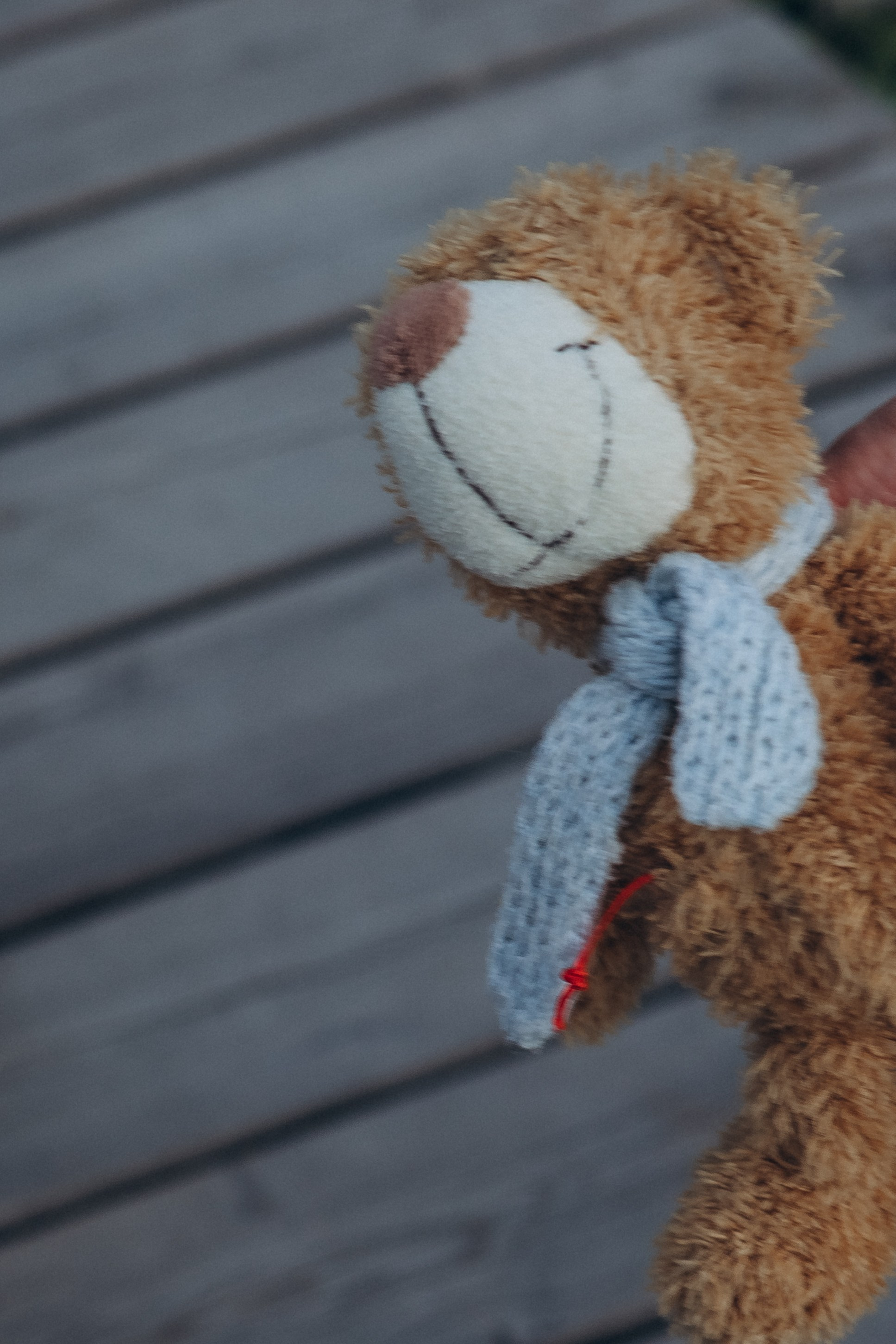 Семейная прогулка. Европейский берег. Семейный, детский, женский фотограф в Новосибирске Оля Борисова