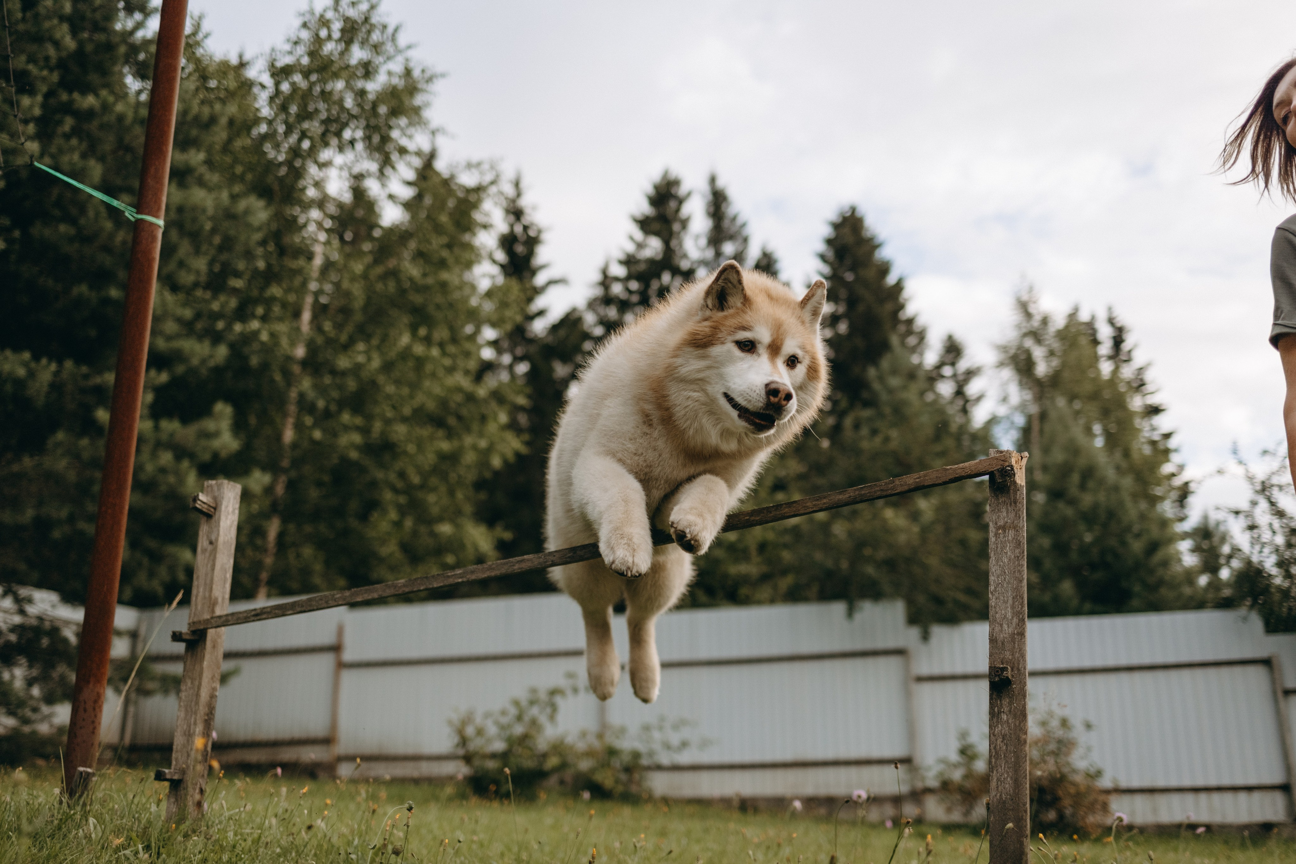 Дом у реки. Фотограф — Анималист | Санкт-Петербург