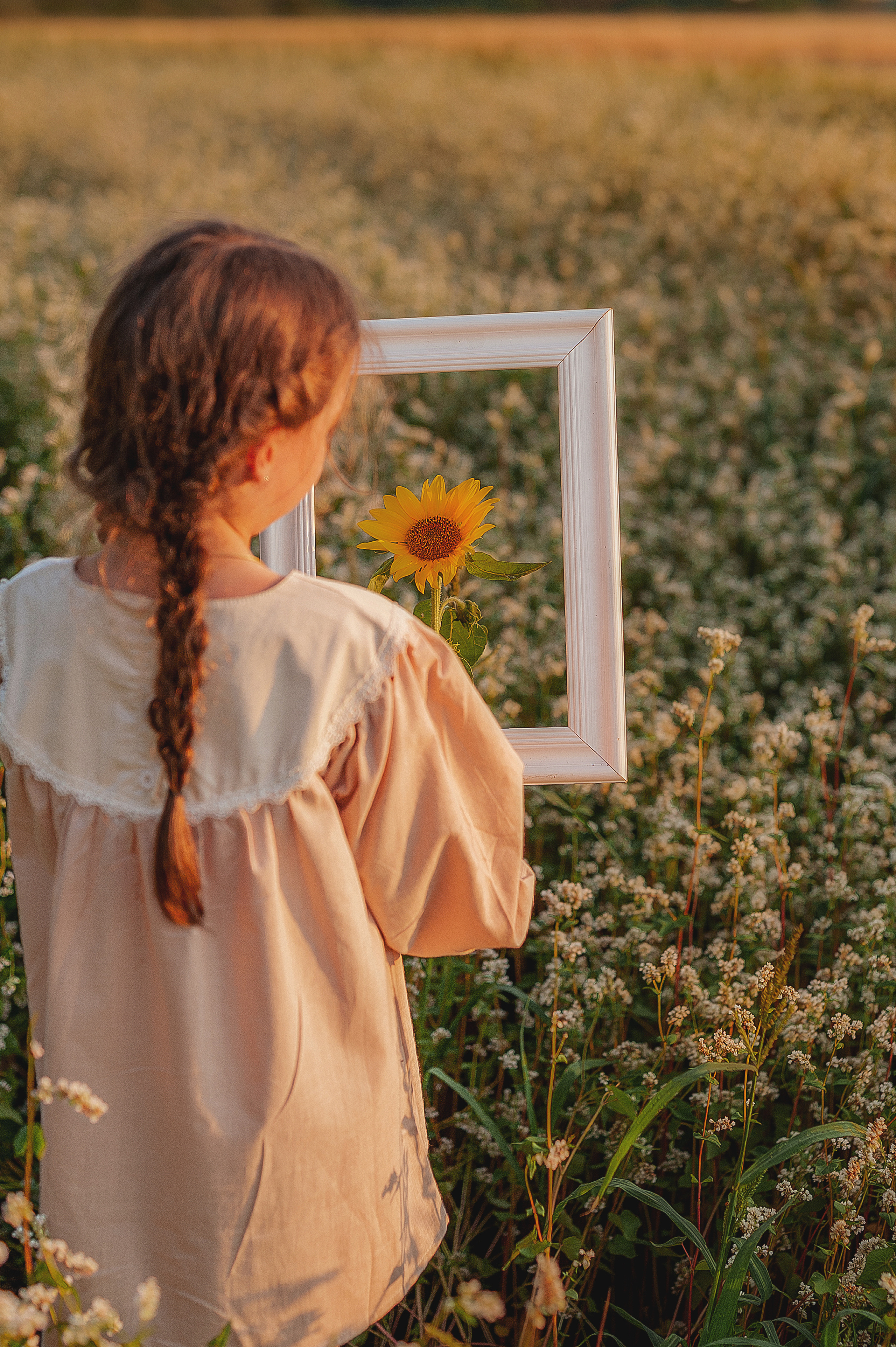 Гречишное поле. Семейный, детский фотограф в Воронеже Анна Никитина