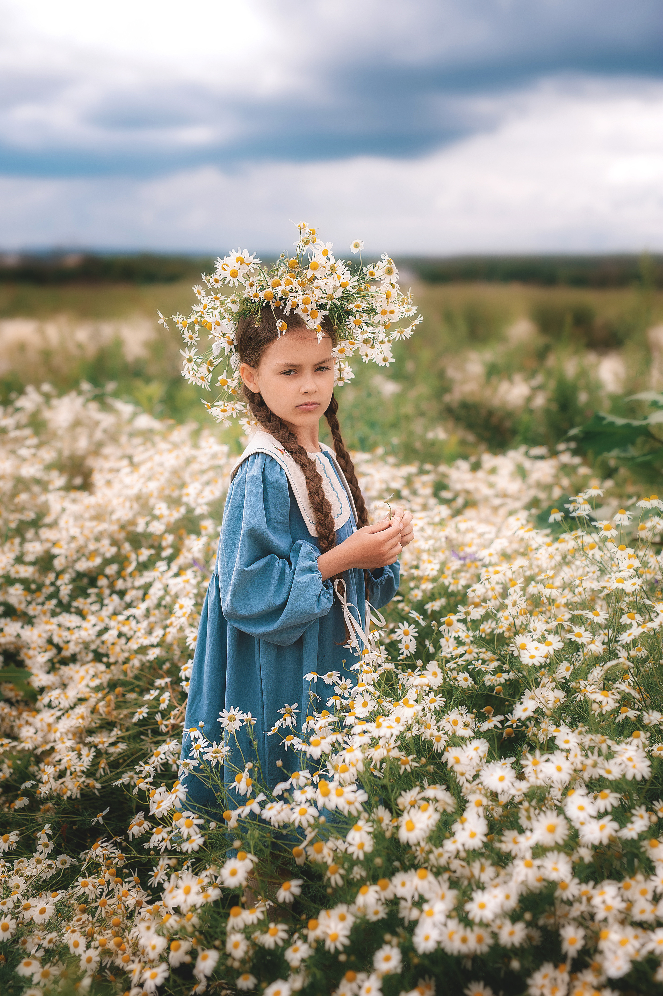 Ромашки. Семейный, детский фотограф в Воронеже Анна Никитина
