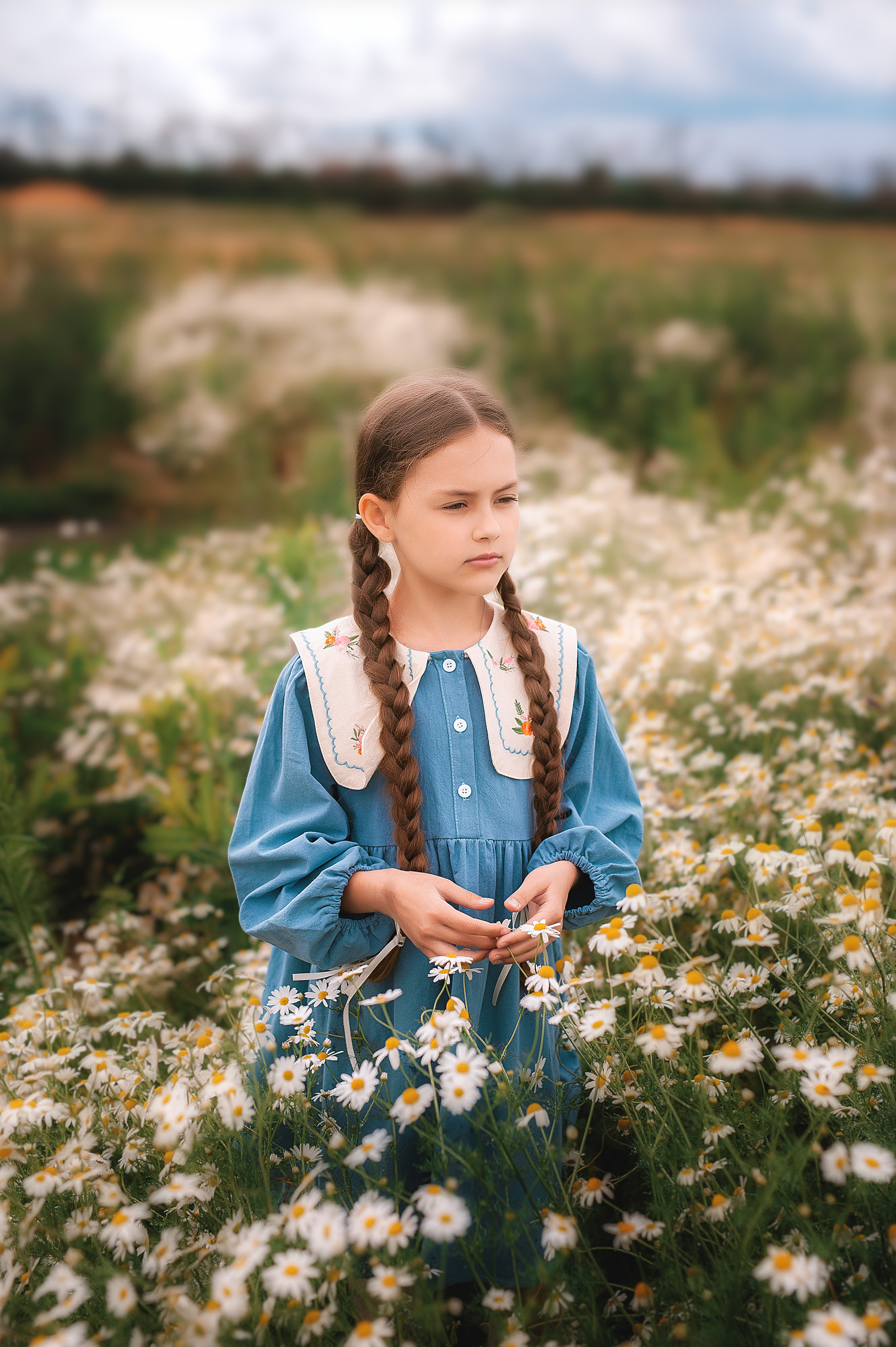 Ромашки. Семейный, детский фотограф в Воронеже Анна Никитина