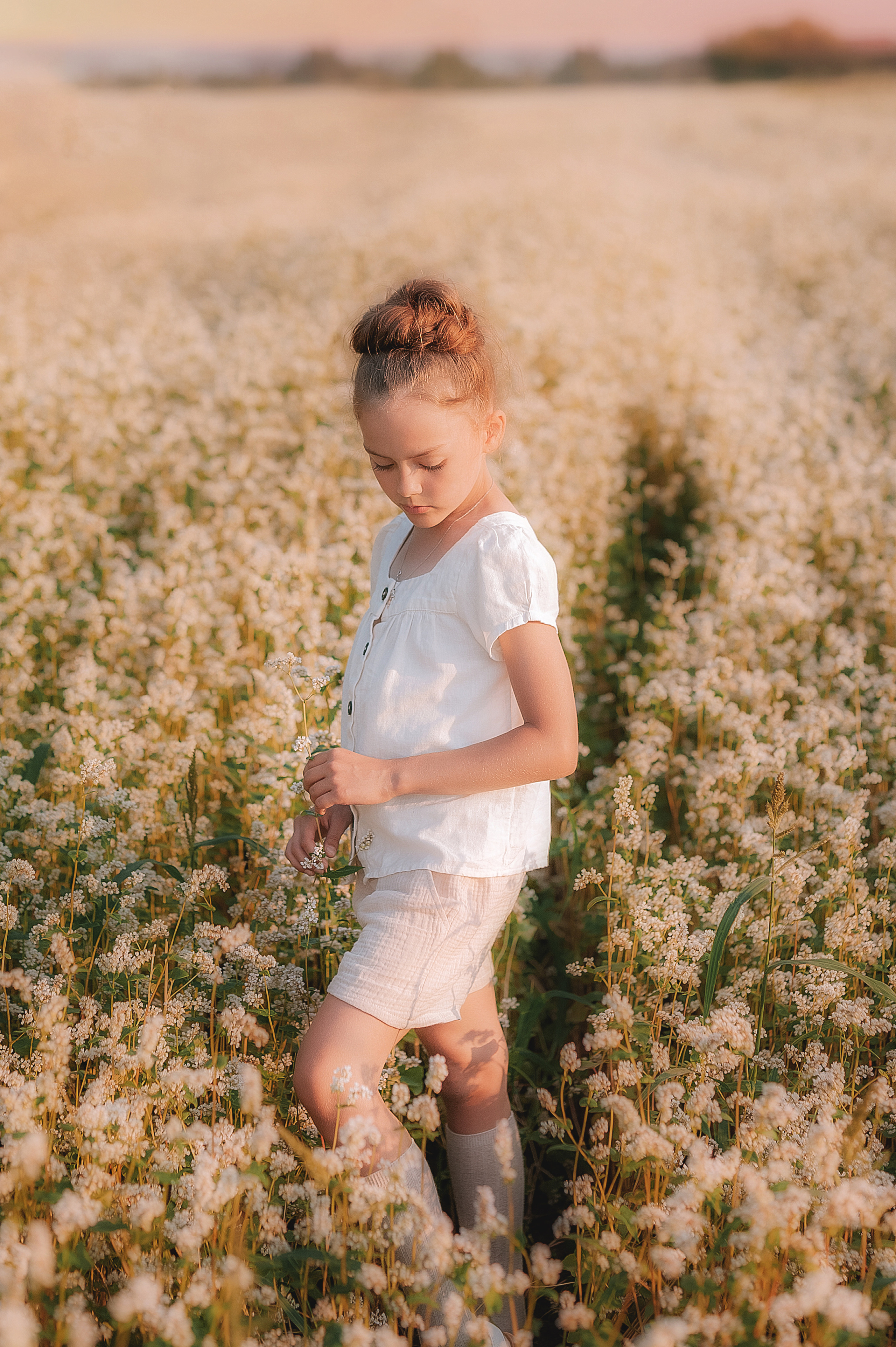 Гречишное поле. Семейный, детский фотограф в Воронеже Анна Никитина