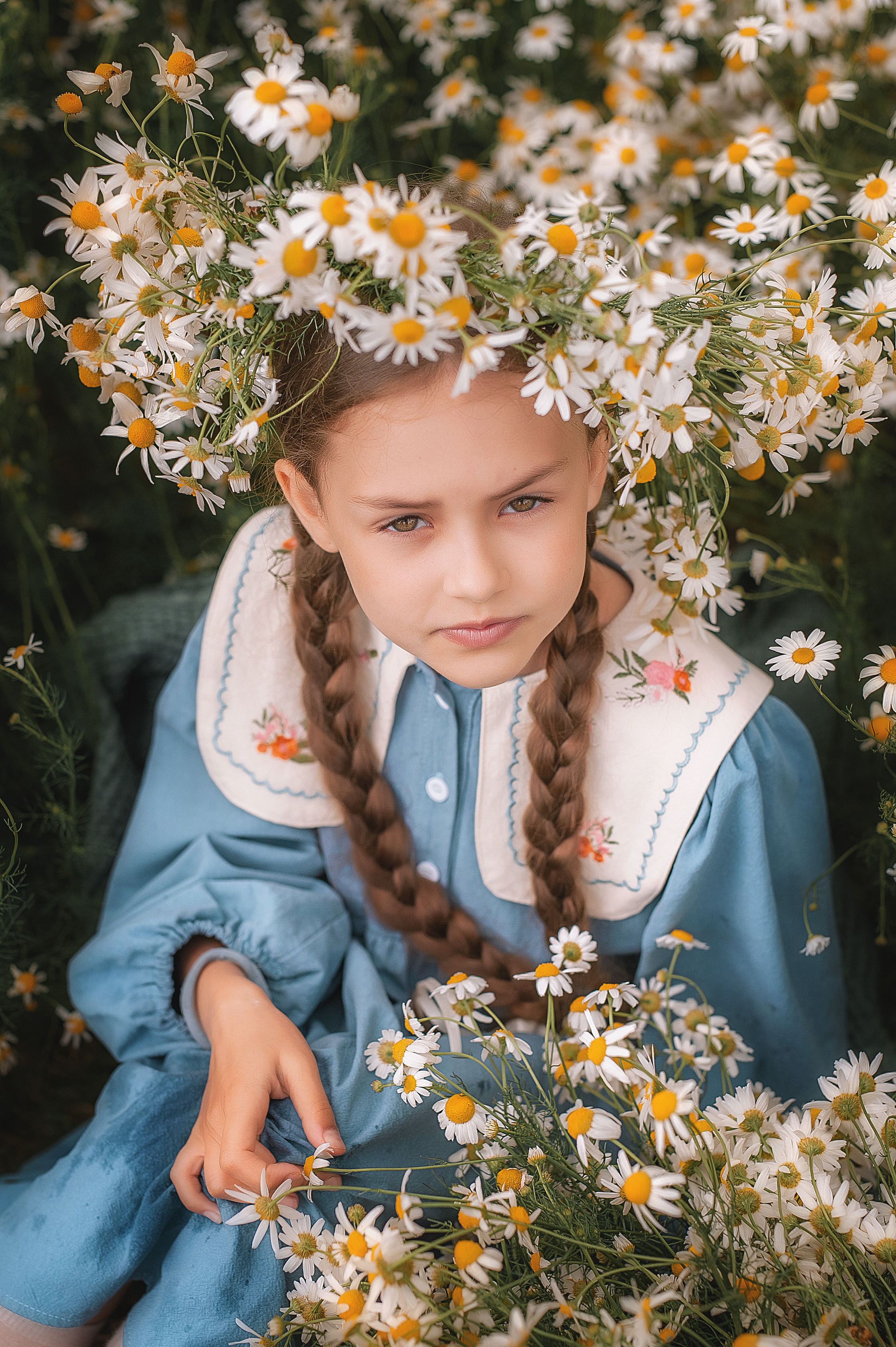 Ромашки. Семейный, детский фотограф в Воронеже Анна Никитина