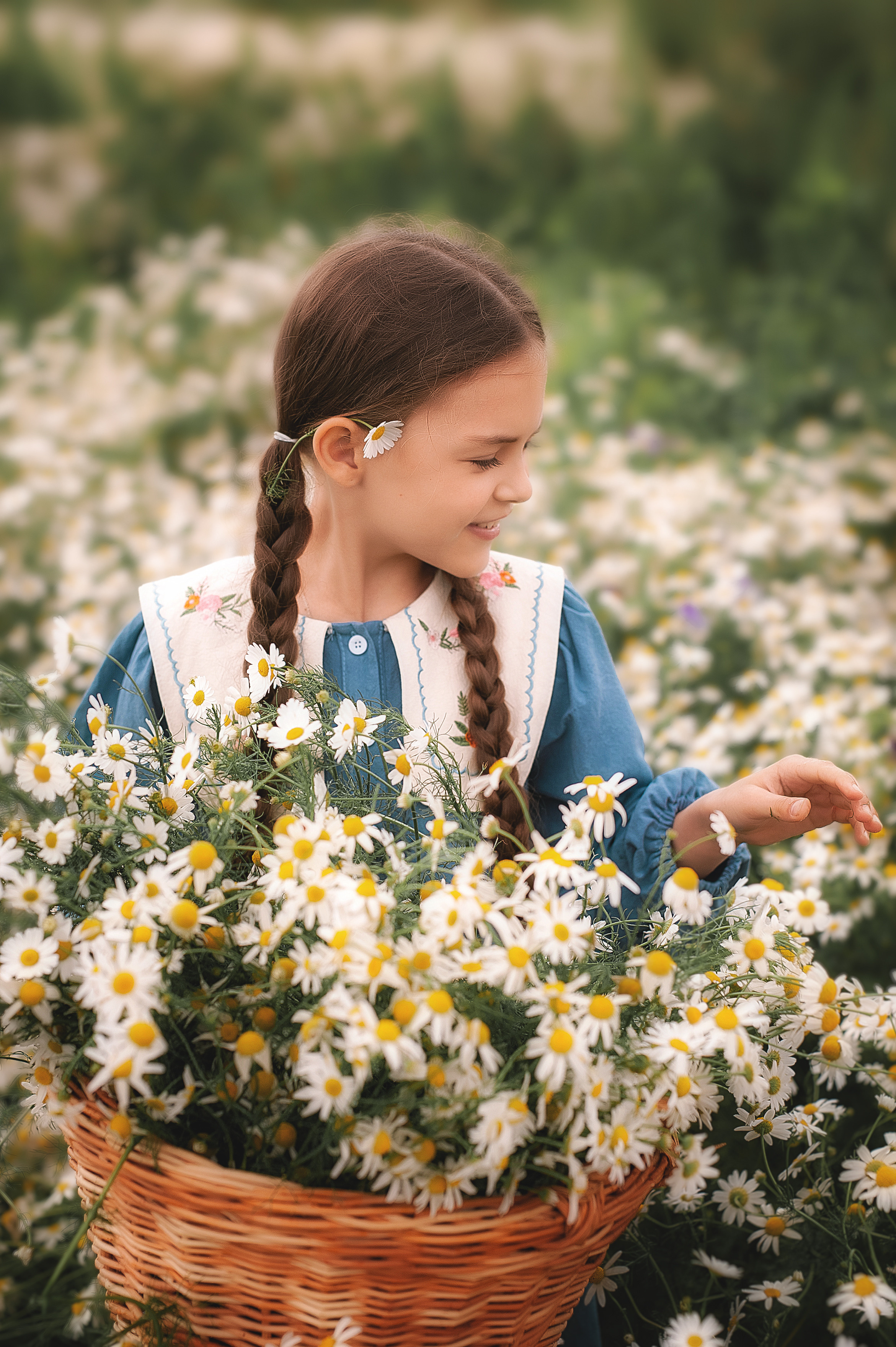Ромашки. Семейный, детский фотограф в Воронеже Анна Никитина