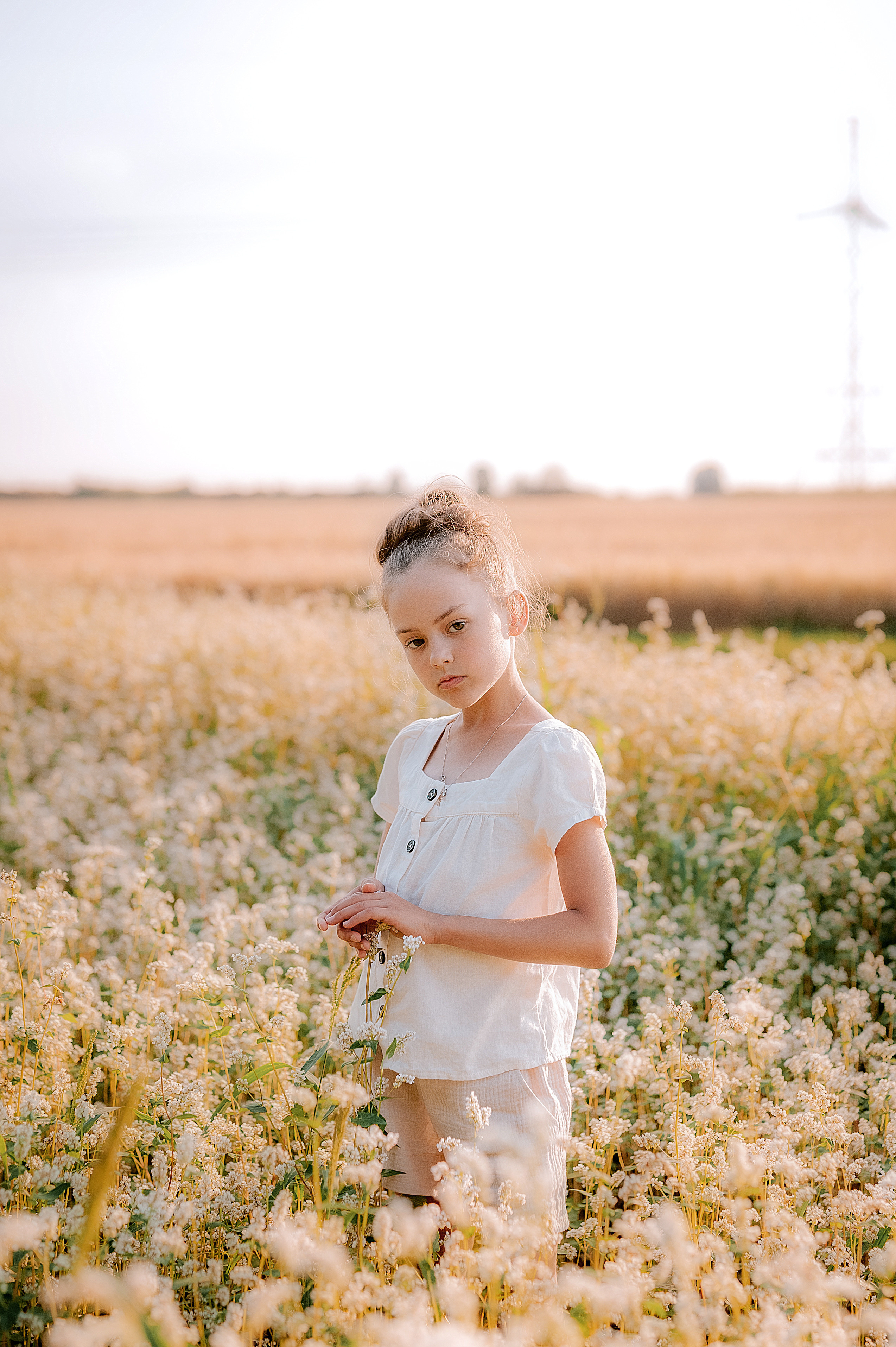 Гречишное поле. Семейный, детский фотограф в Воронеже Анна Никитина