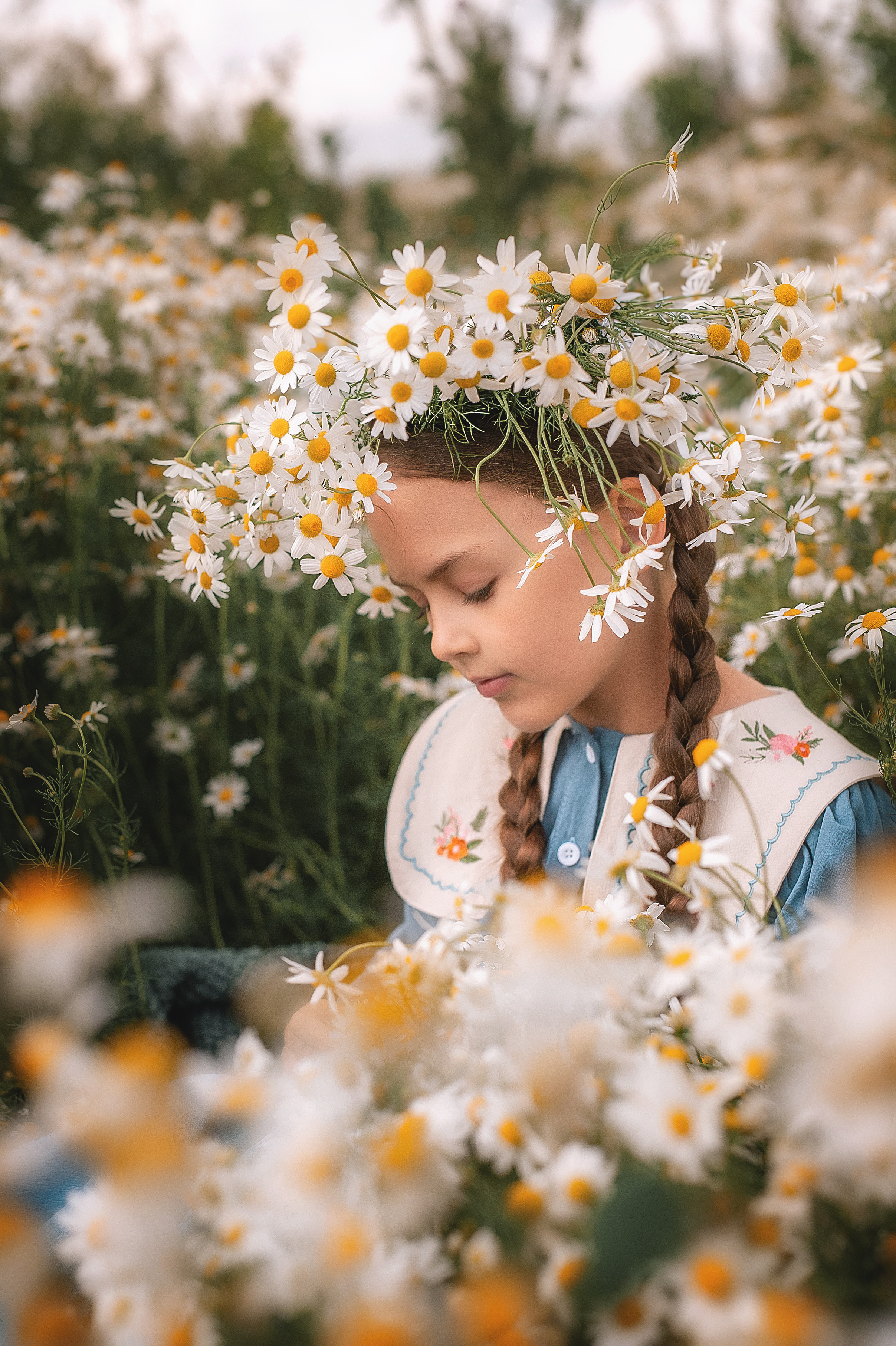 Ромашки. Семейный, детский фотограф в Воронеже Анна Никитина