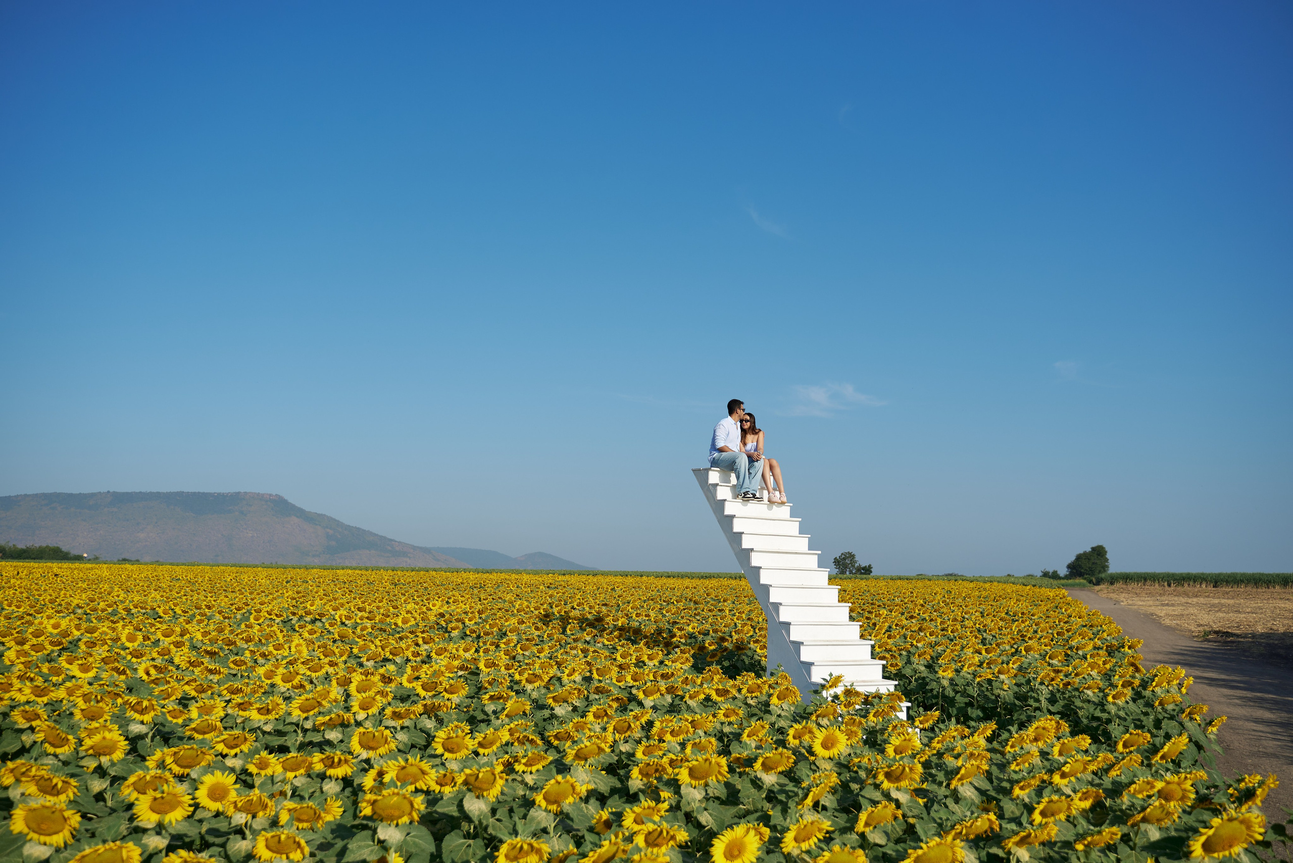 Love in the field. Photographer Bangkok — Pattaya | фотограф Бангкок — Паттайа