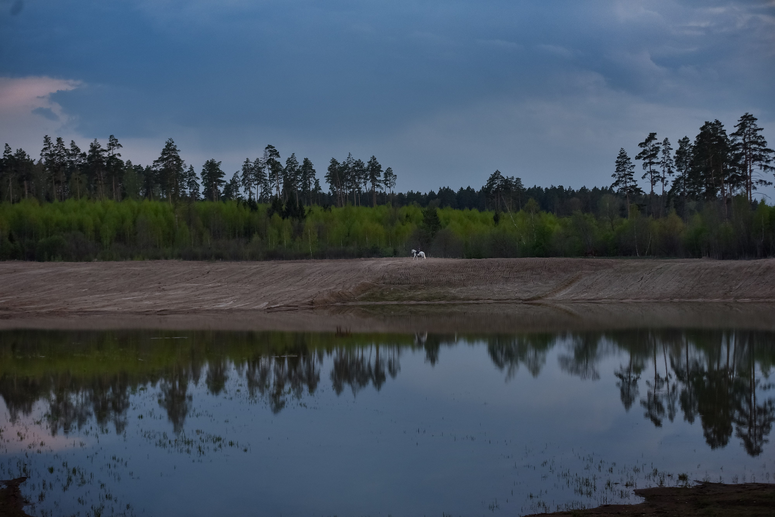 Природа. Съемки в стиле Goblicore и прочая нечисть. Конный фотограф из Москвы Ирина Бондаркова