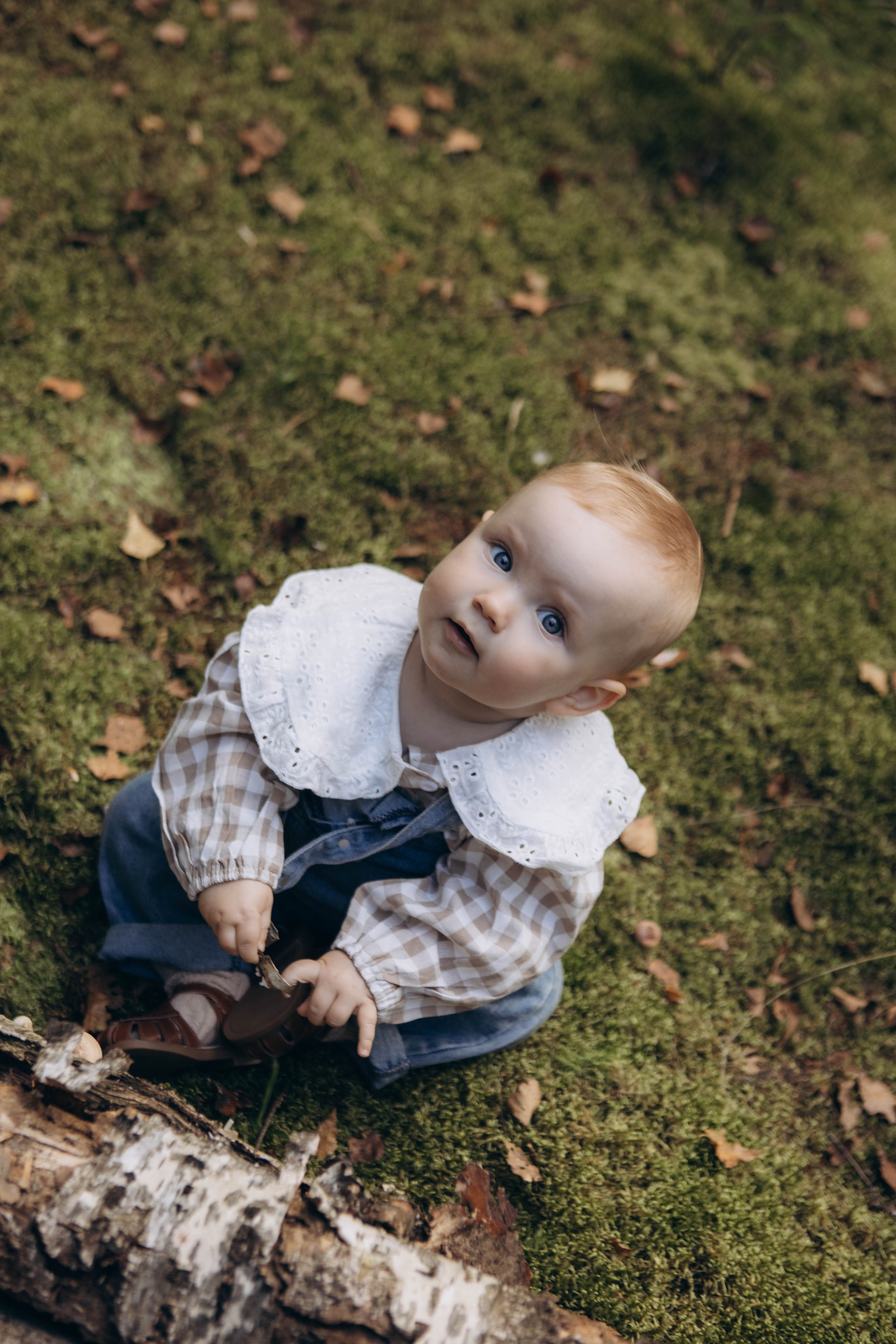 Лесная история. Наталья Косьянова. Ваш фотограф. Москва