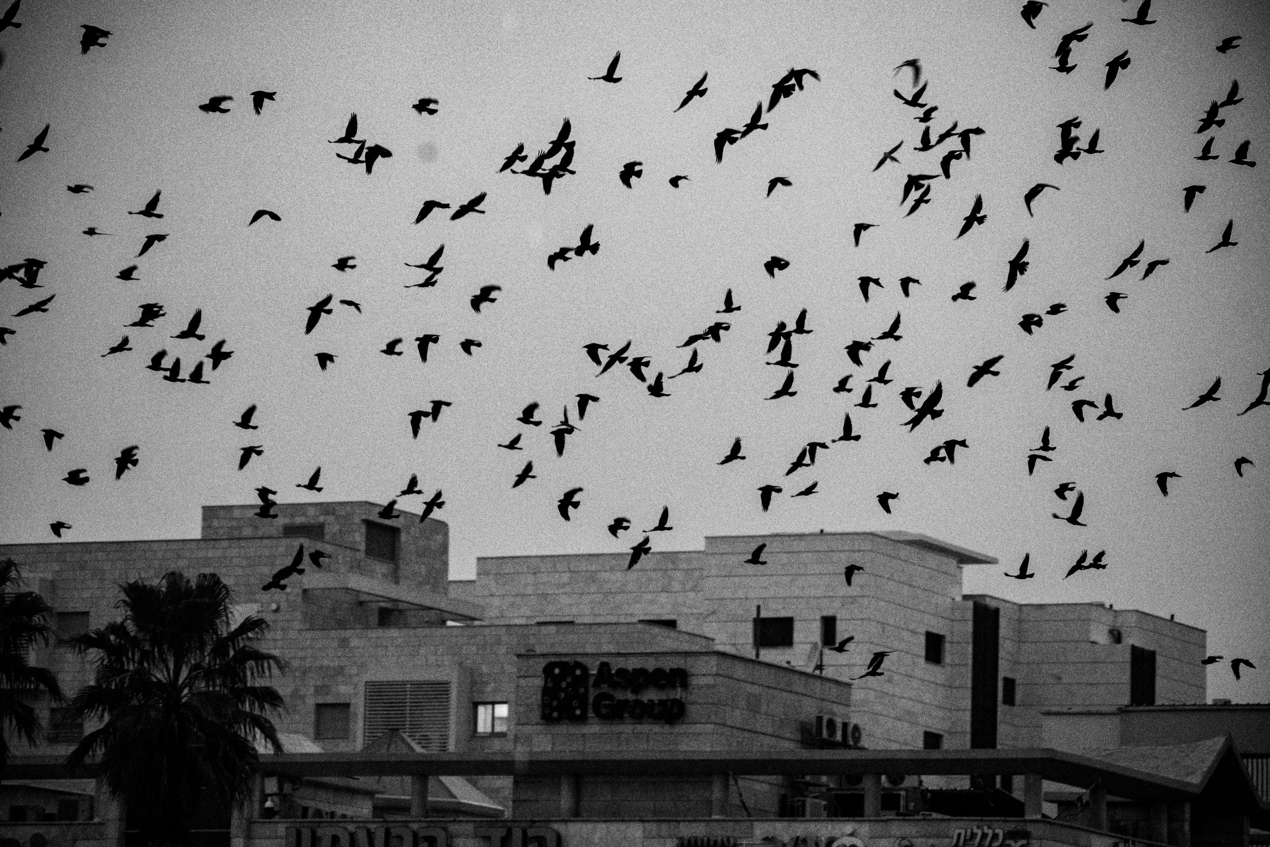 Nahariya. Семейный и travel-фотограф из Израиля