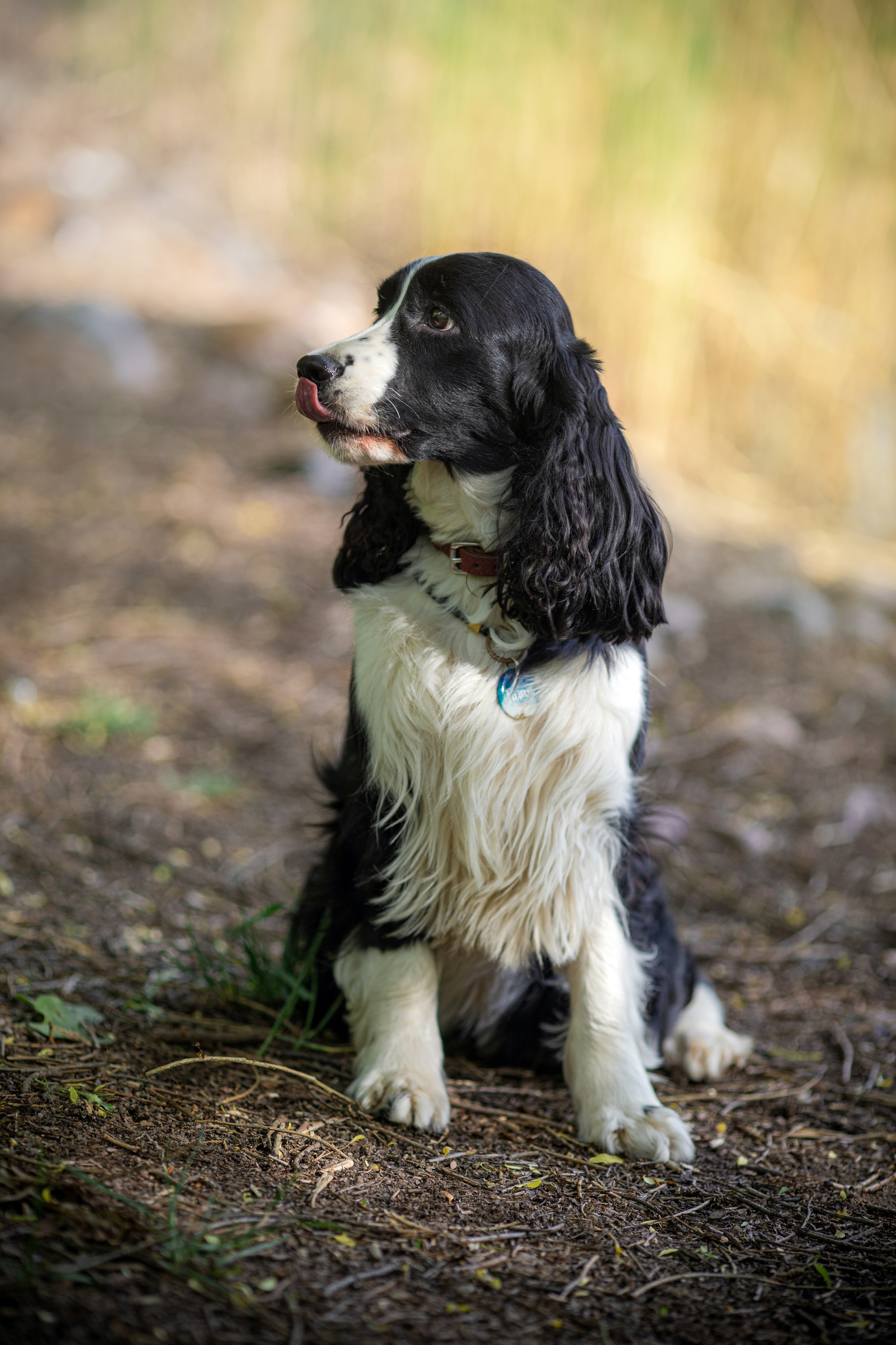 Таша. Художник и Фотограф Тимохина Юлия