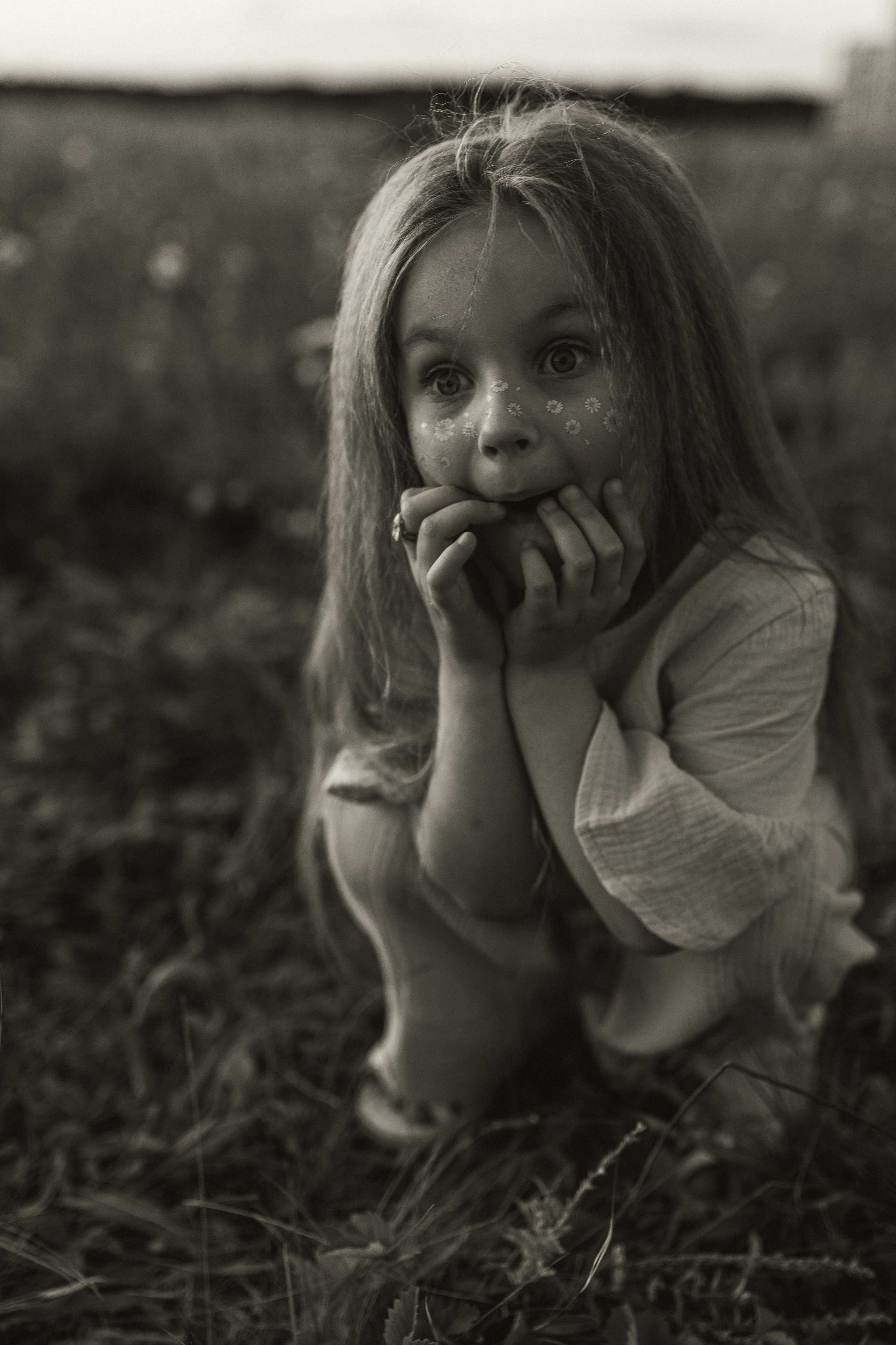 Закат на ромашковом поле. Фотограф в Ставрополе Svetlana Matveeva