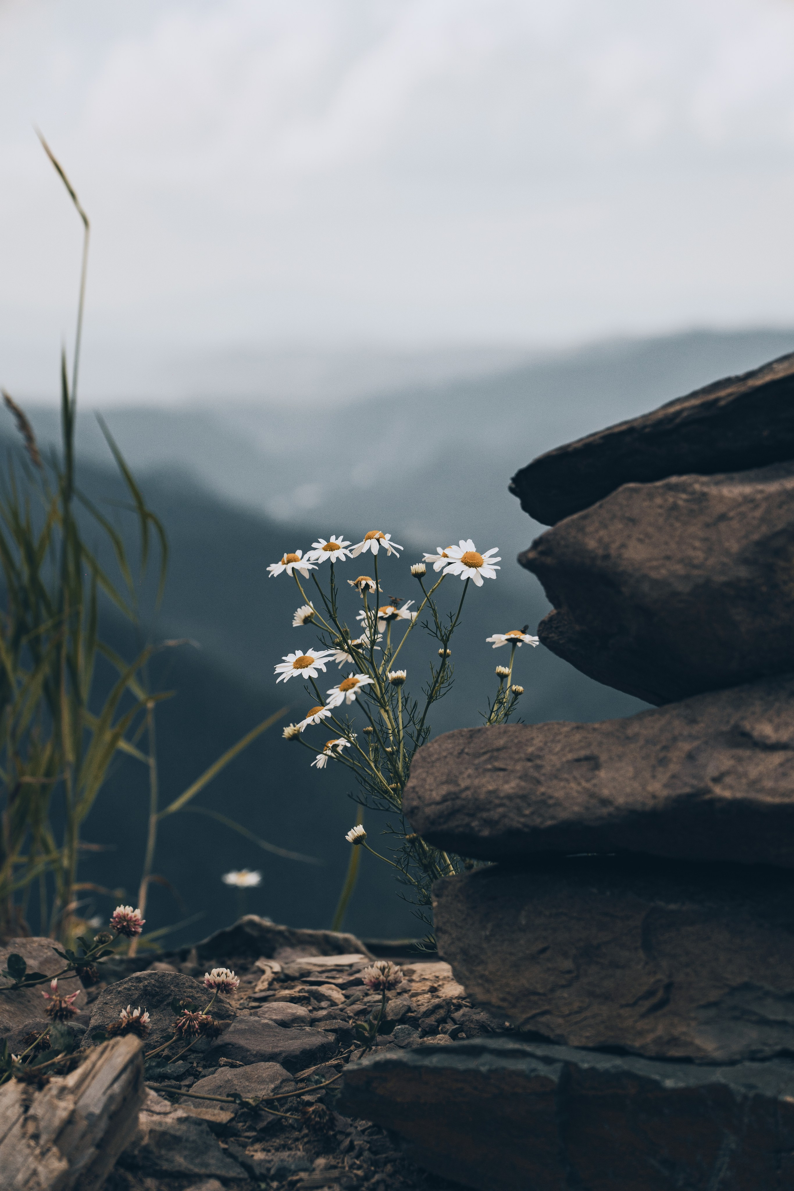 Алтай. Gusarov Travel Photography