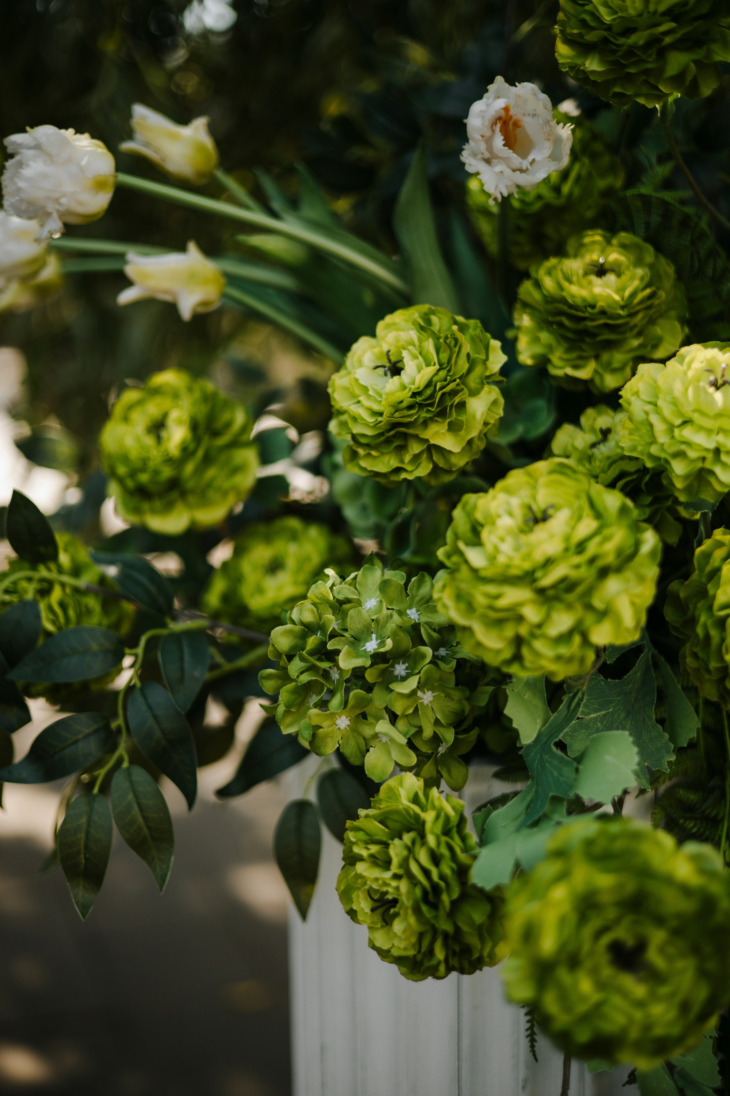 Евгений и Виктория. Nikolpinhasova