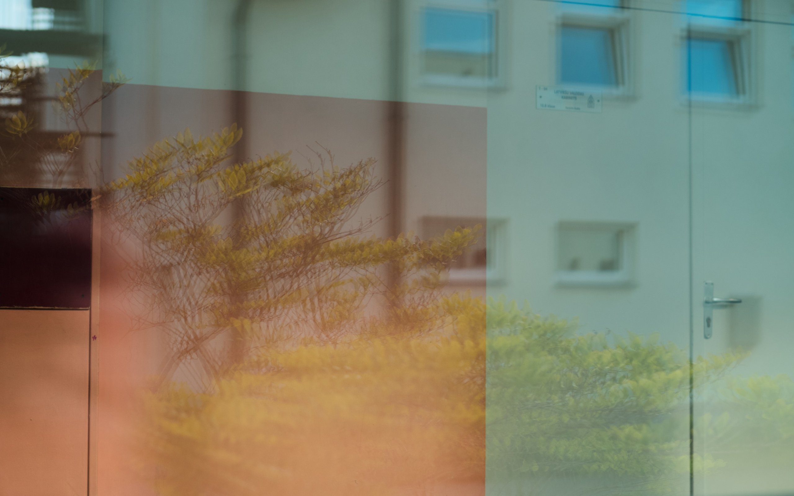 Фотопроект «Отражения». Visual art from artist Anna Butyrskaia for families and individuals