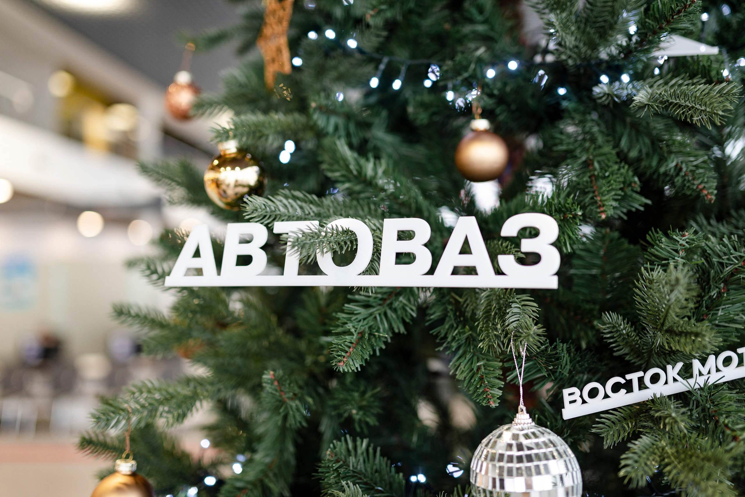 фотограф Сургут