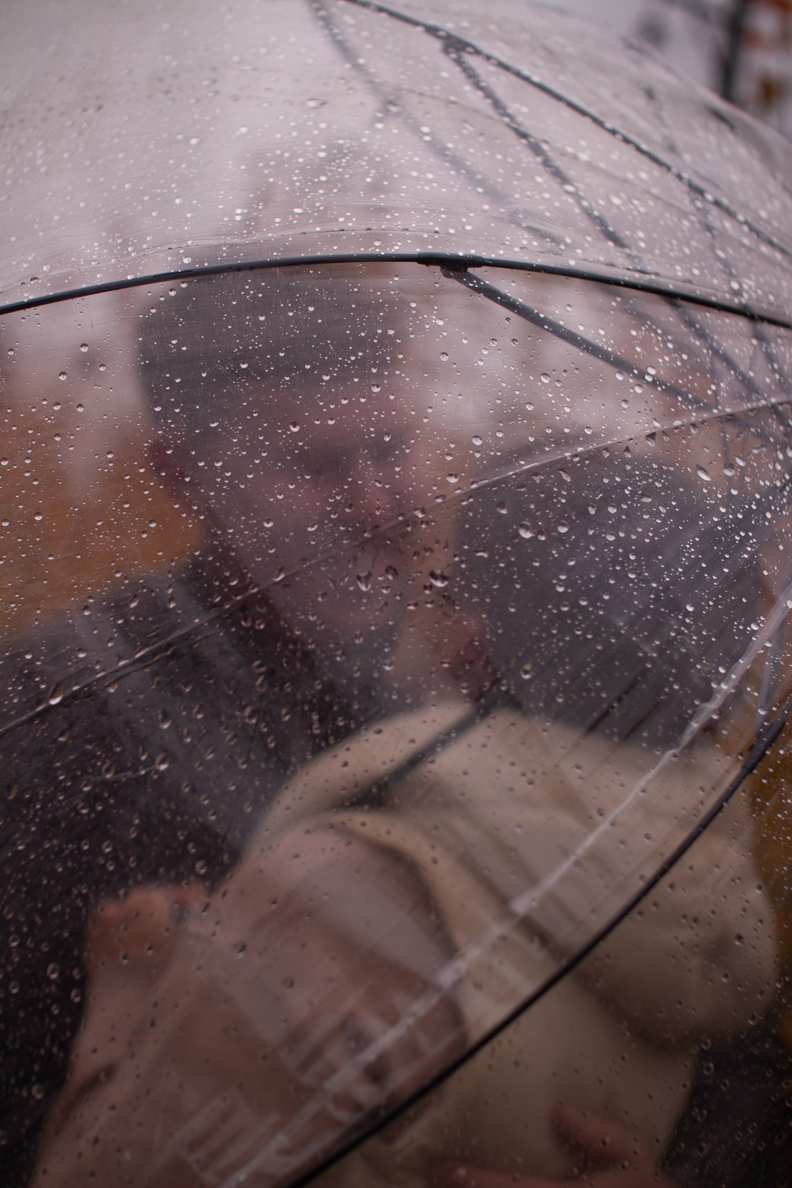 Зубовы Family Осень. Фотограф в Челябинске Филимонова Дарья