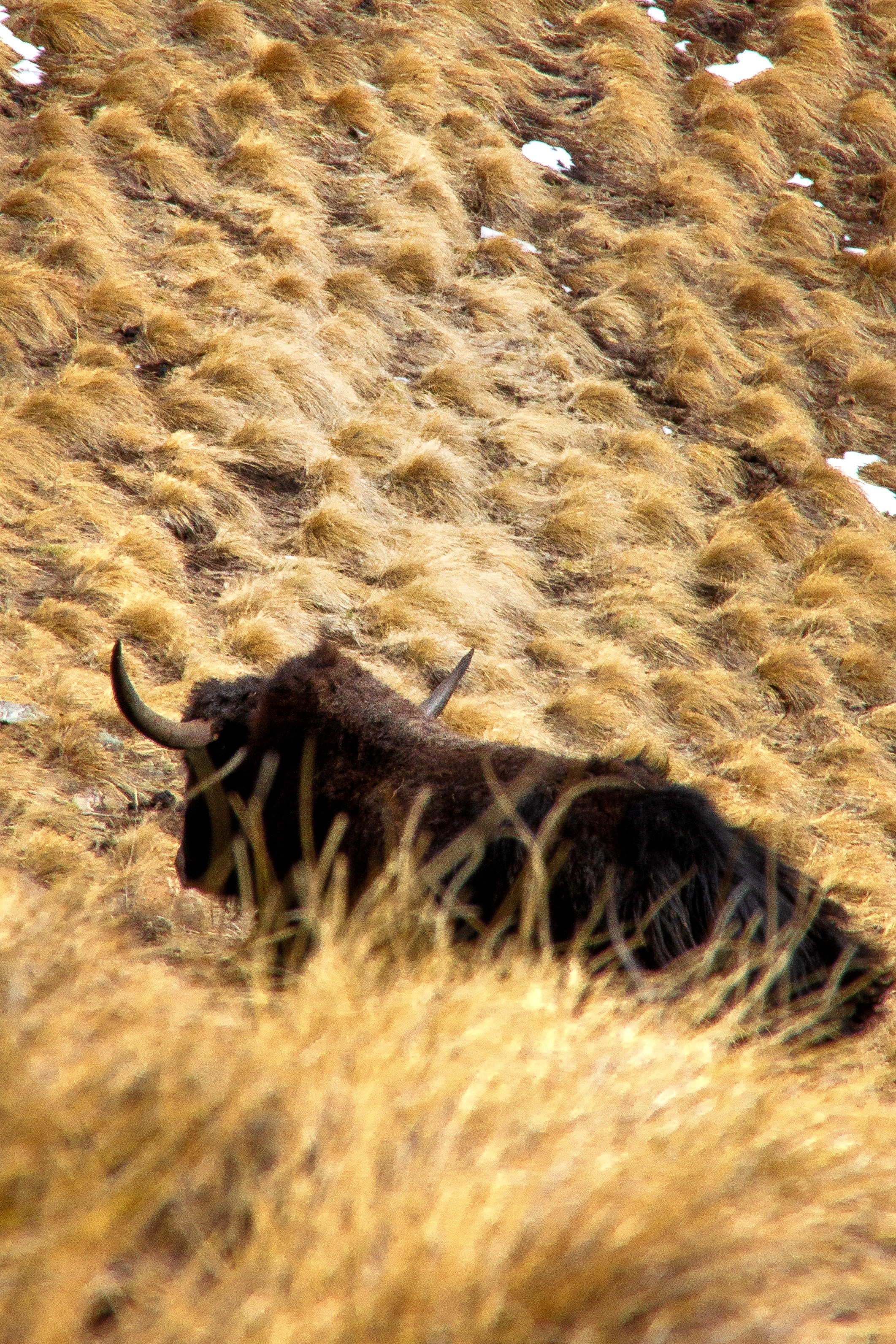 Природа. Фотограф Котий Даниил