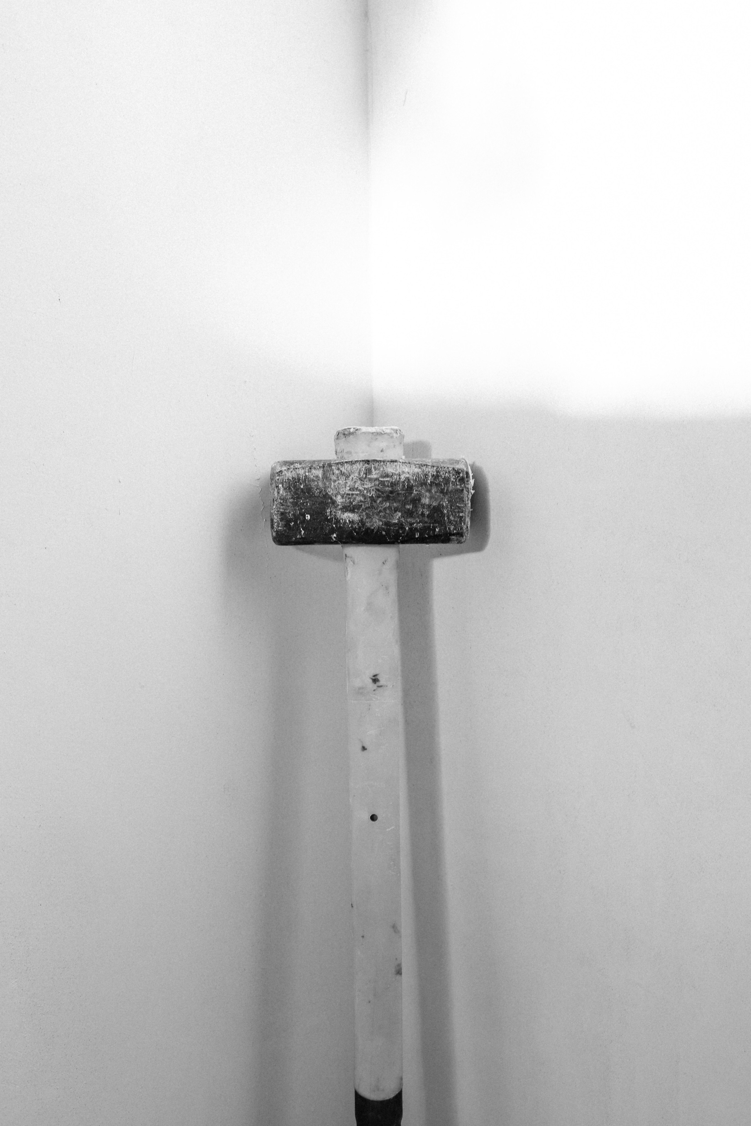 НОЕВ КОВЧЕГ. Художница Екатерина Малышева