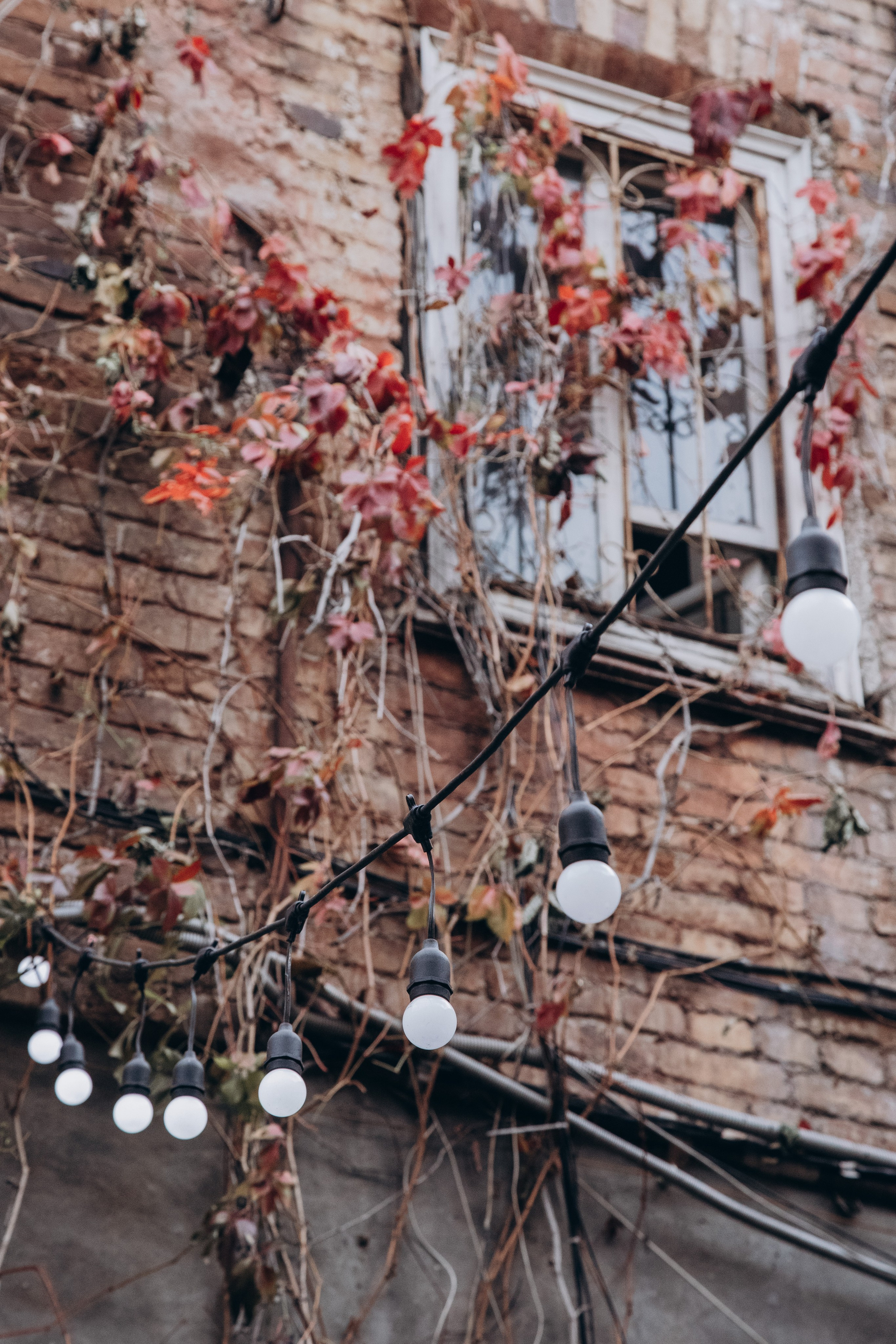 Олеся. Фотограф Анастасия Петрова