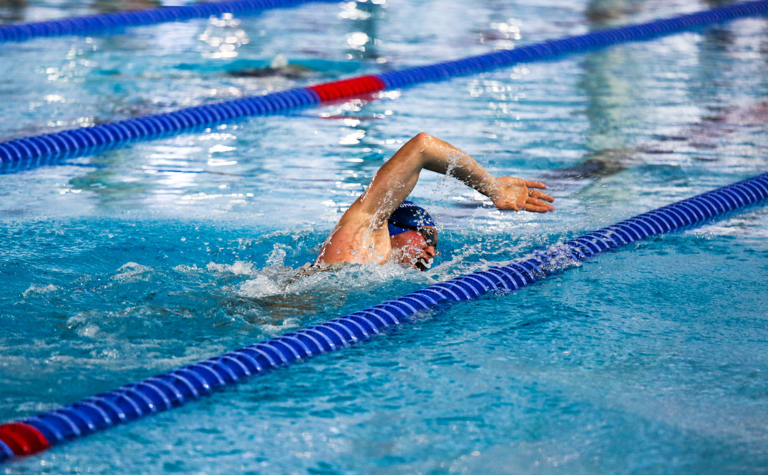 Соревнования по плаванию. Репортажный, семейный, свадебный, портретный фотограф