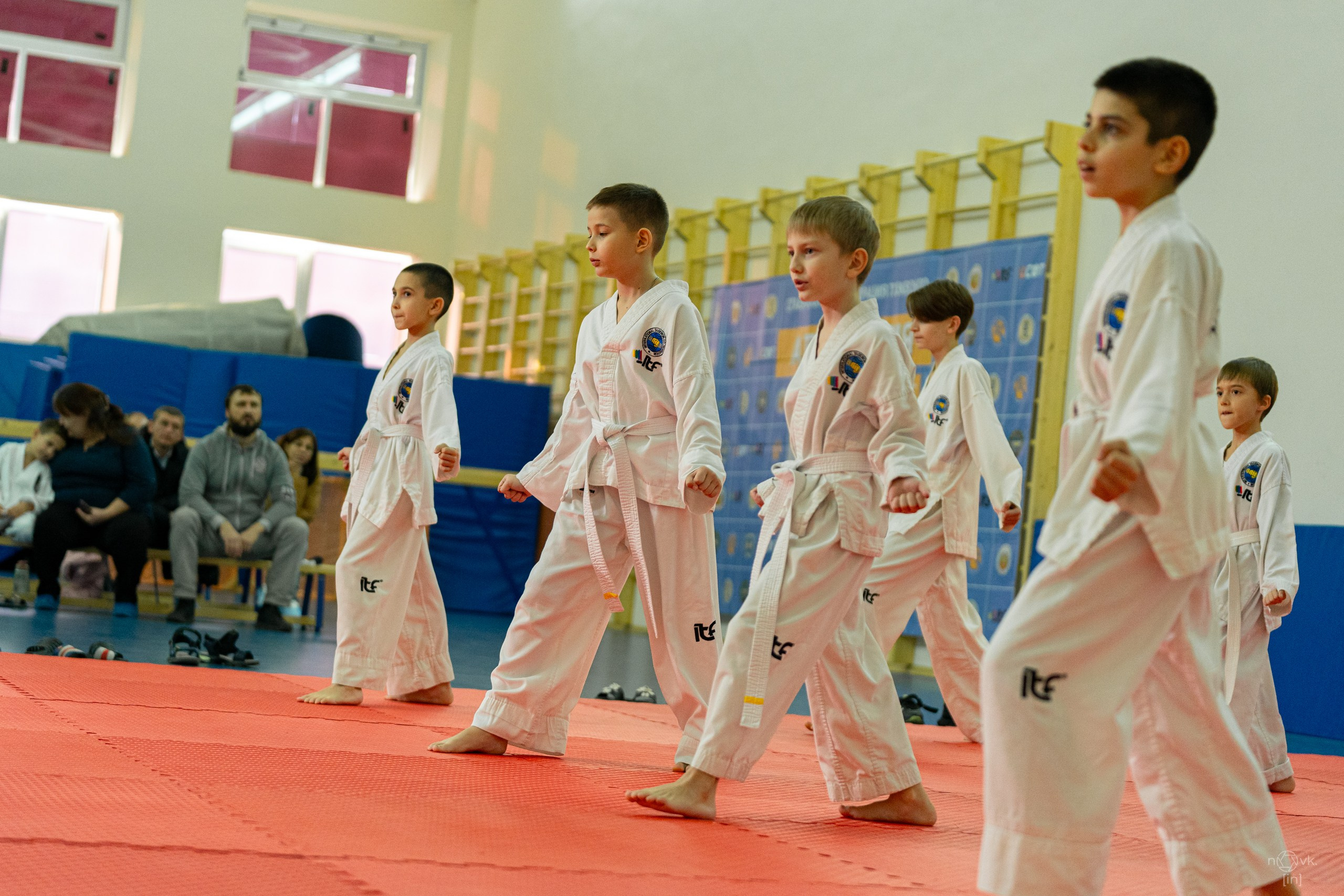 Аттестация Тхэкво. ФОТОГРАФ ИВАН НОВИКОВ | СТАВРОПОЛЬ