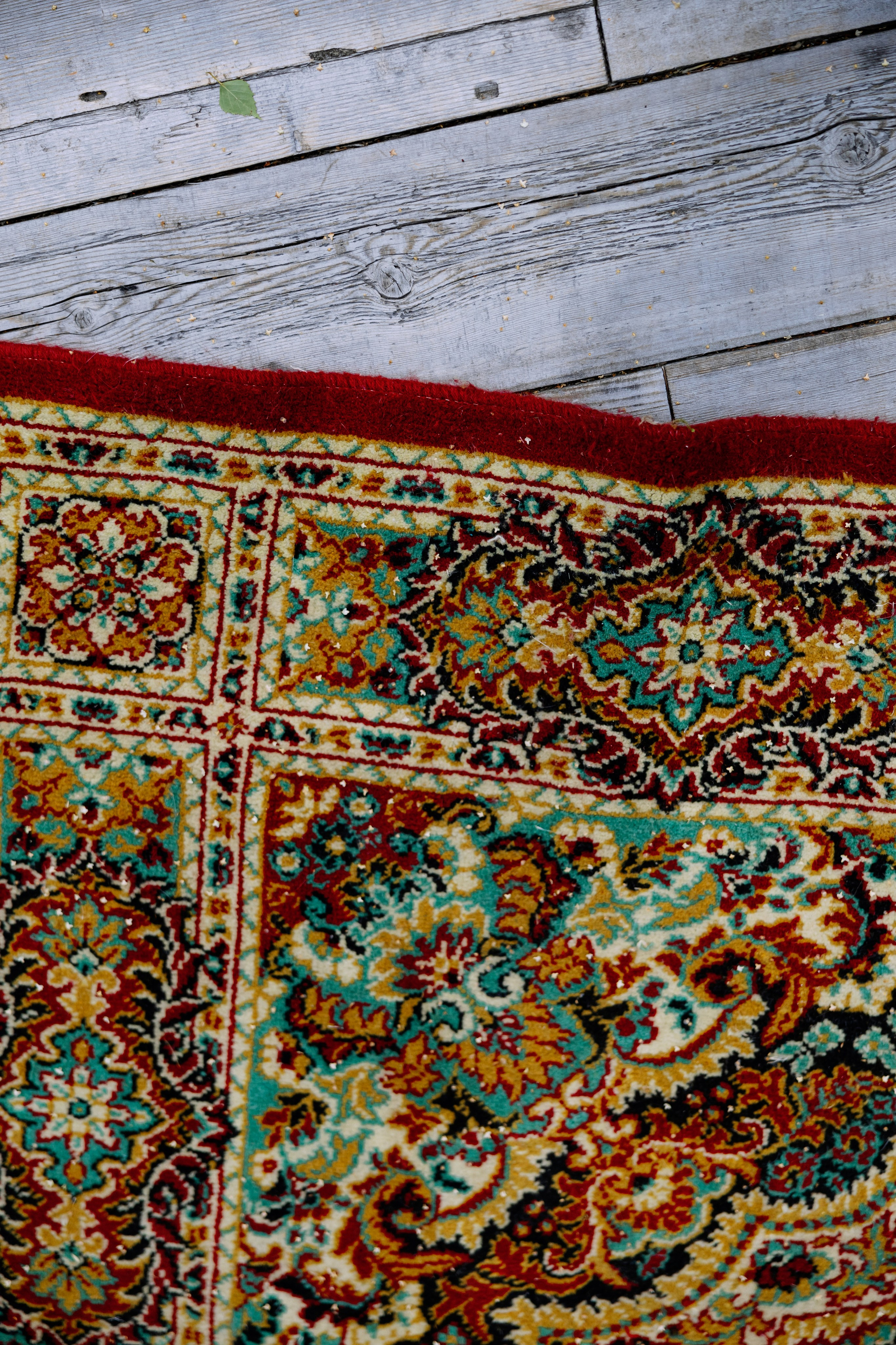 10.08.2023 Дмитрий и Виктория. Фотограф в Красноярске