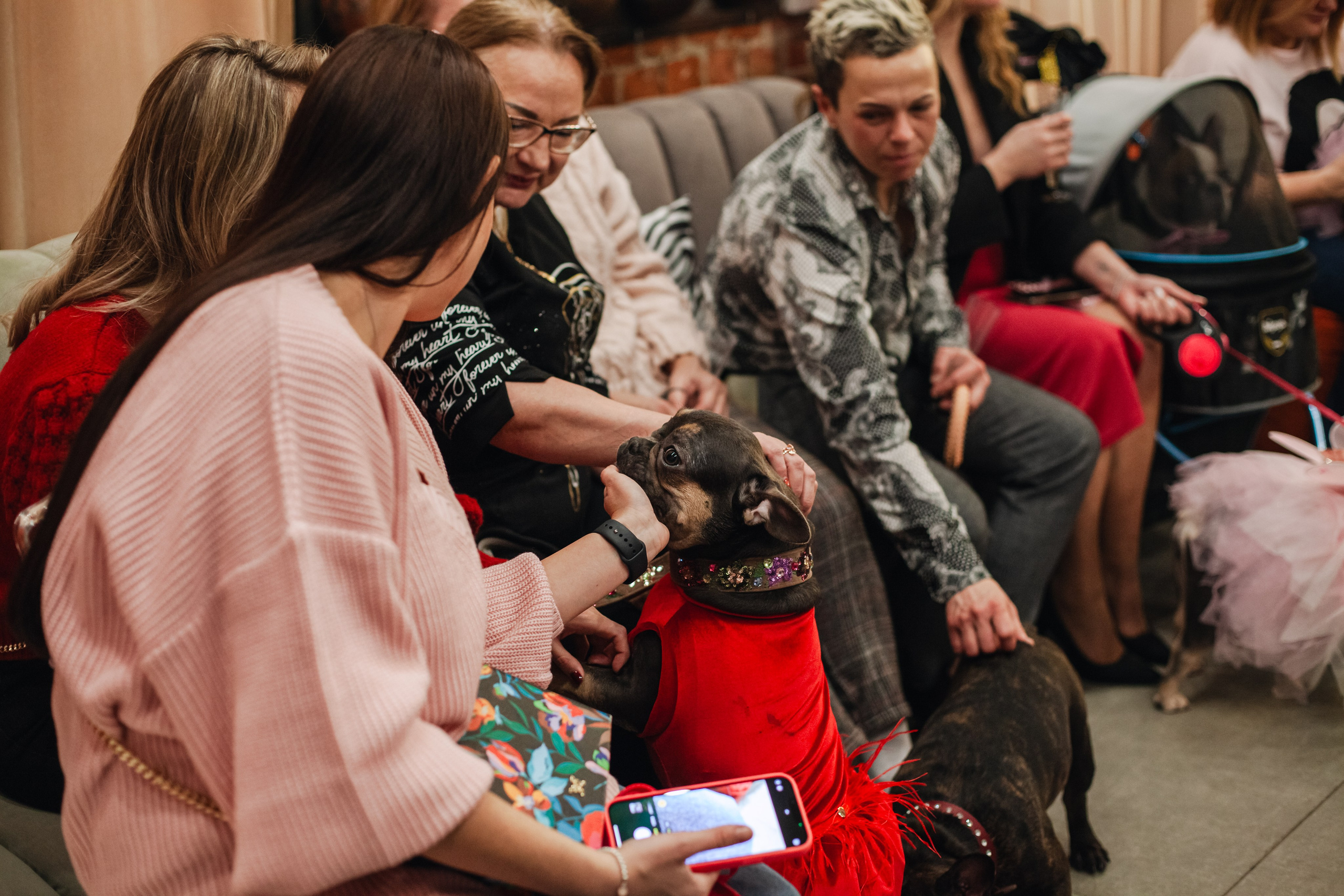 Бульёлка 2024. Фотограф-анималист Татьяна Степанова