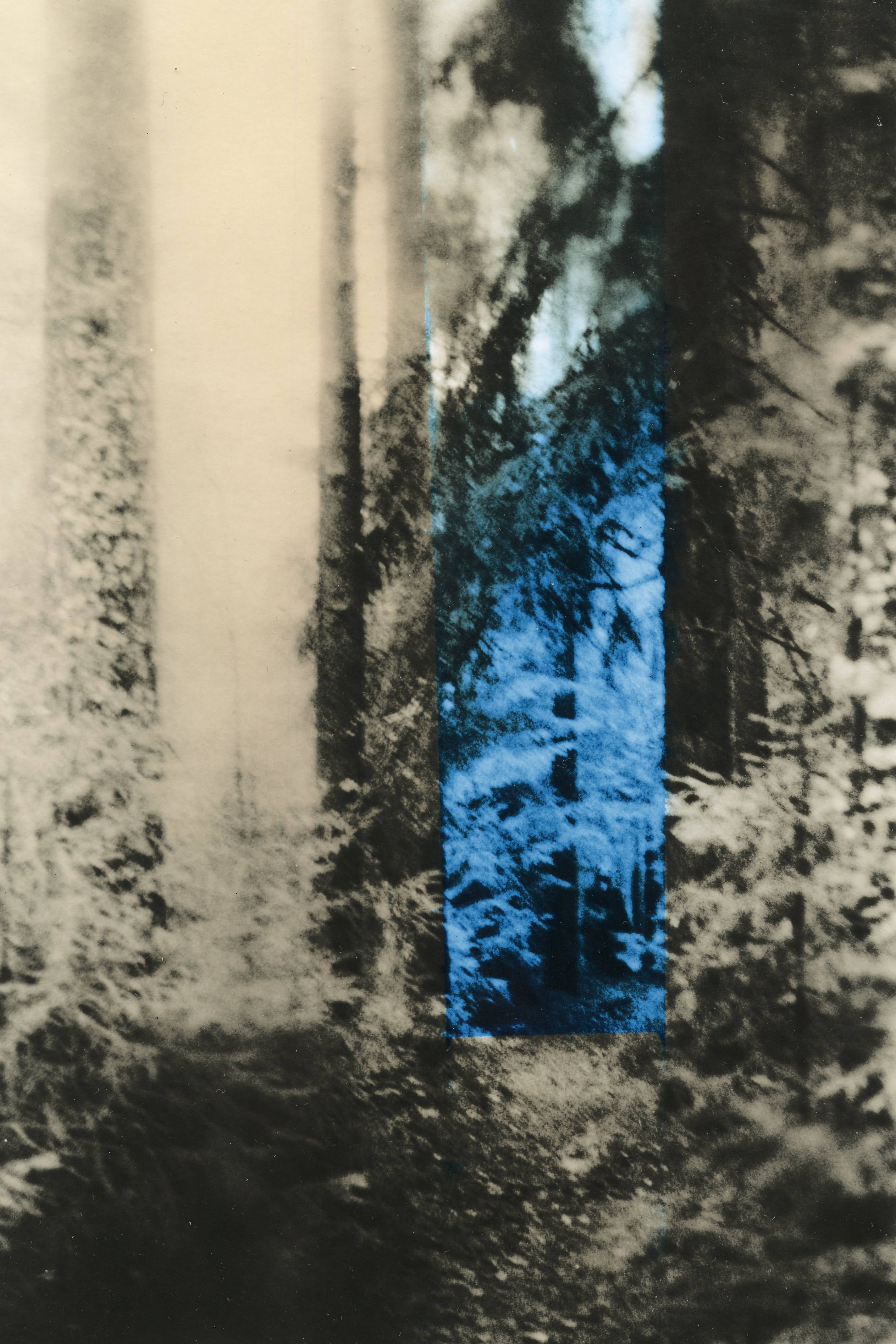 Dmitry Gudimenko | Analog visual artist