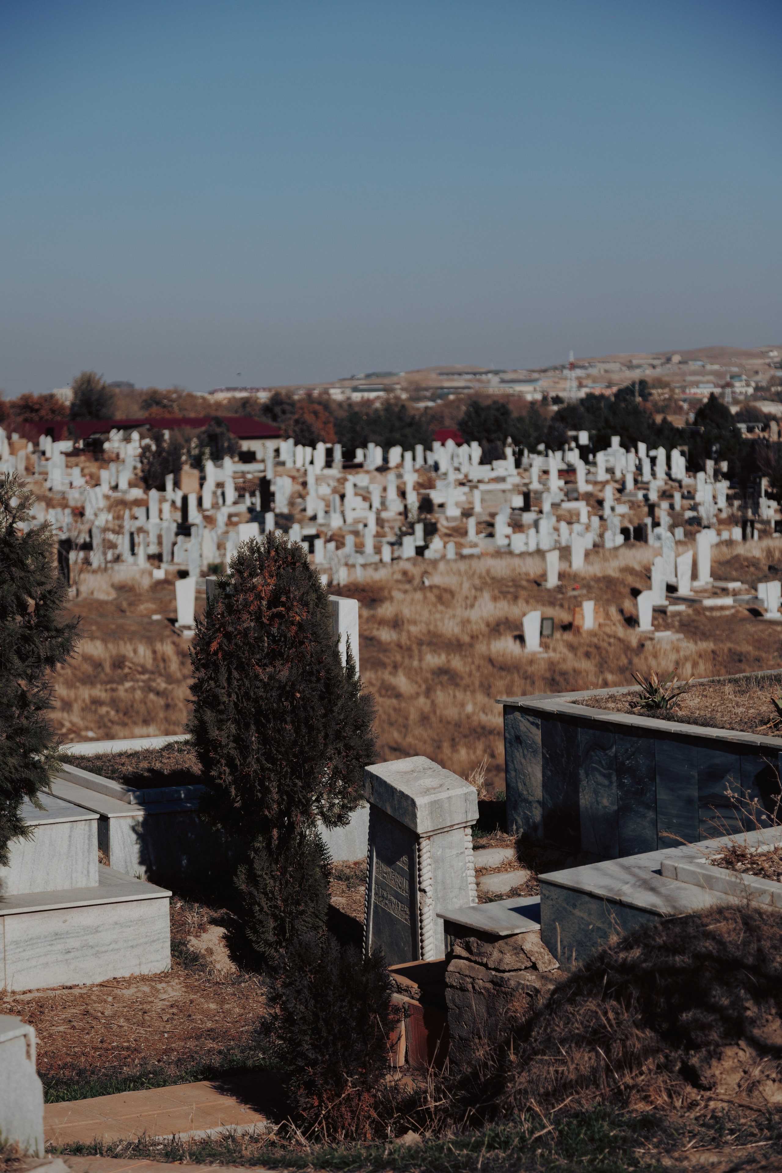 Узбекистан. Креатор Ольга Яш