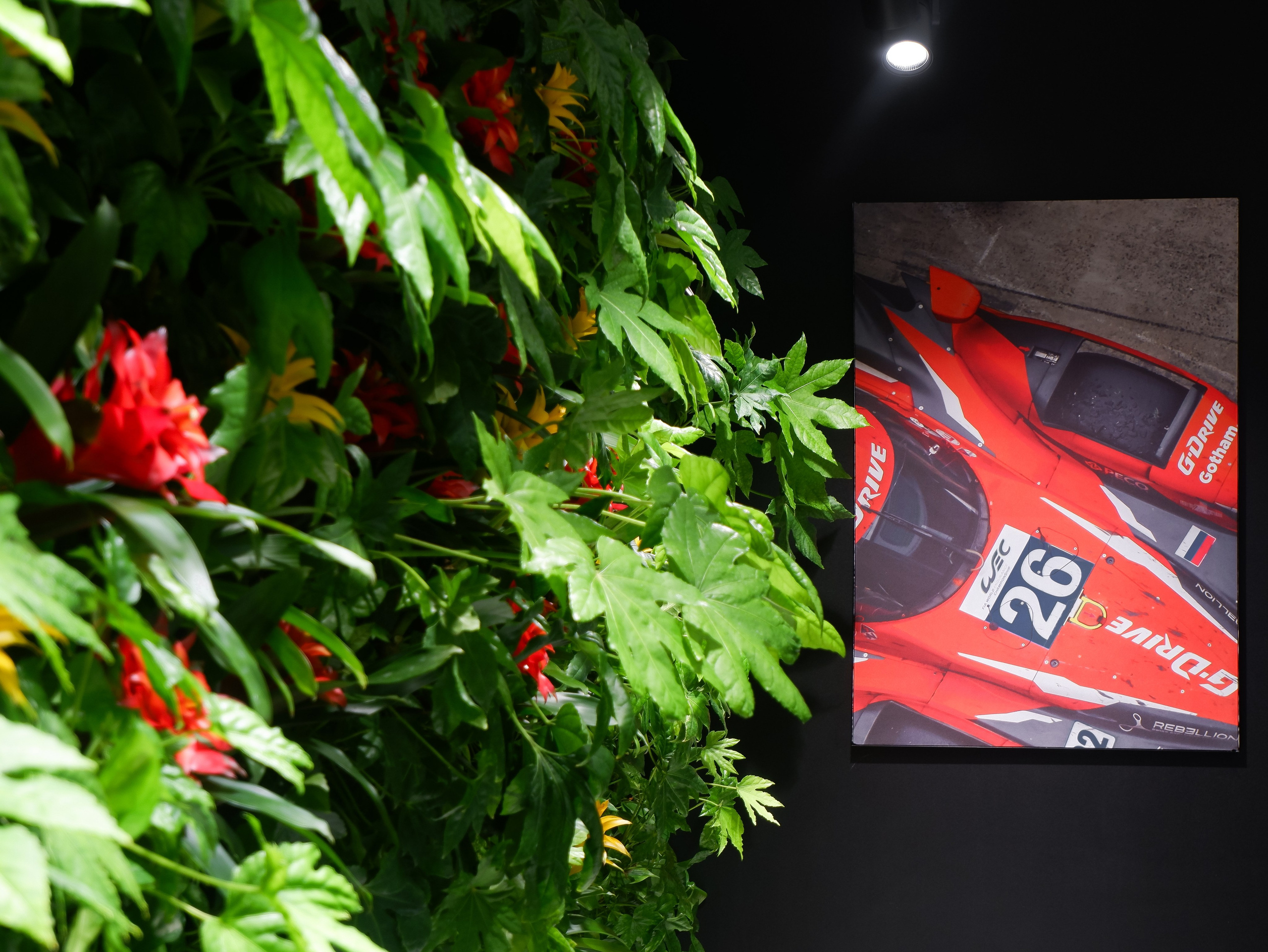 Фито технологии брендинг. Графический дизайн и ретушь фотографий, Москва