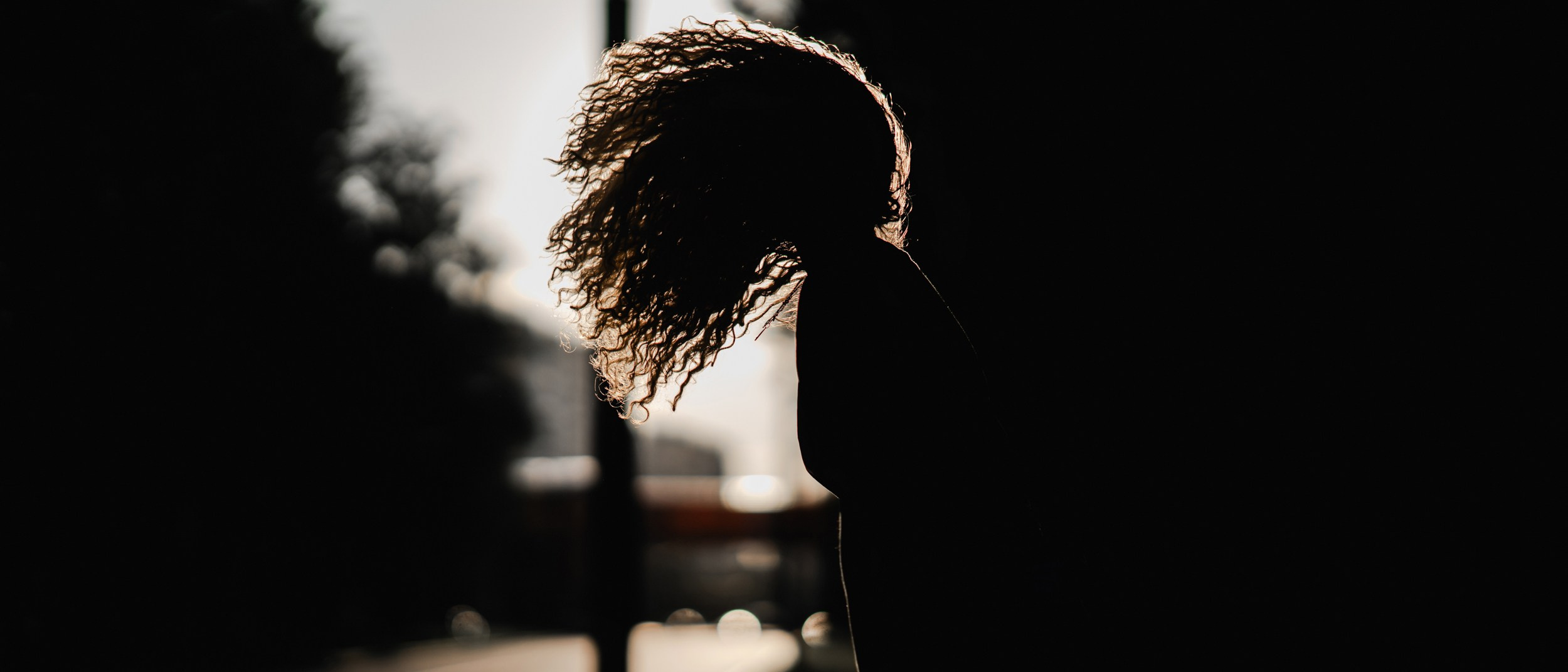 Portfolio. The Andris