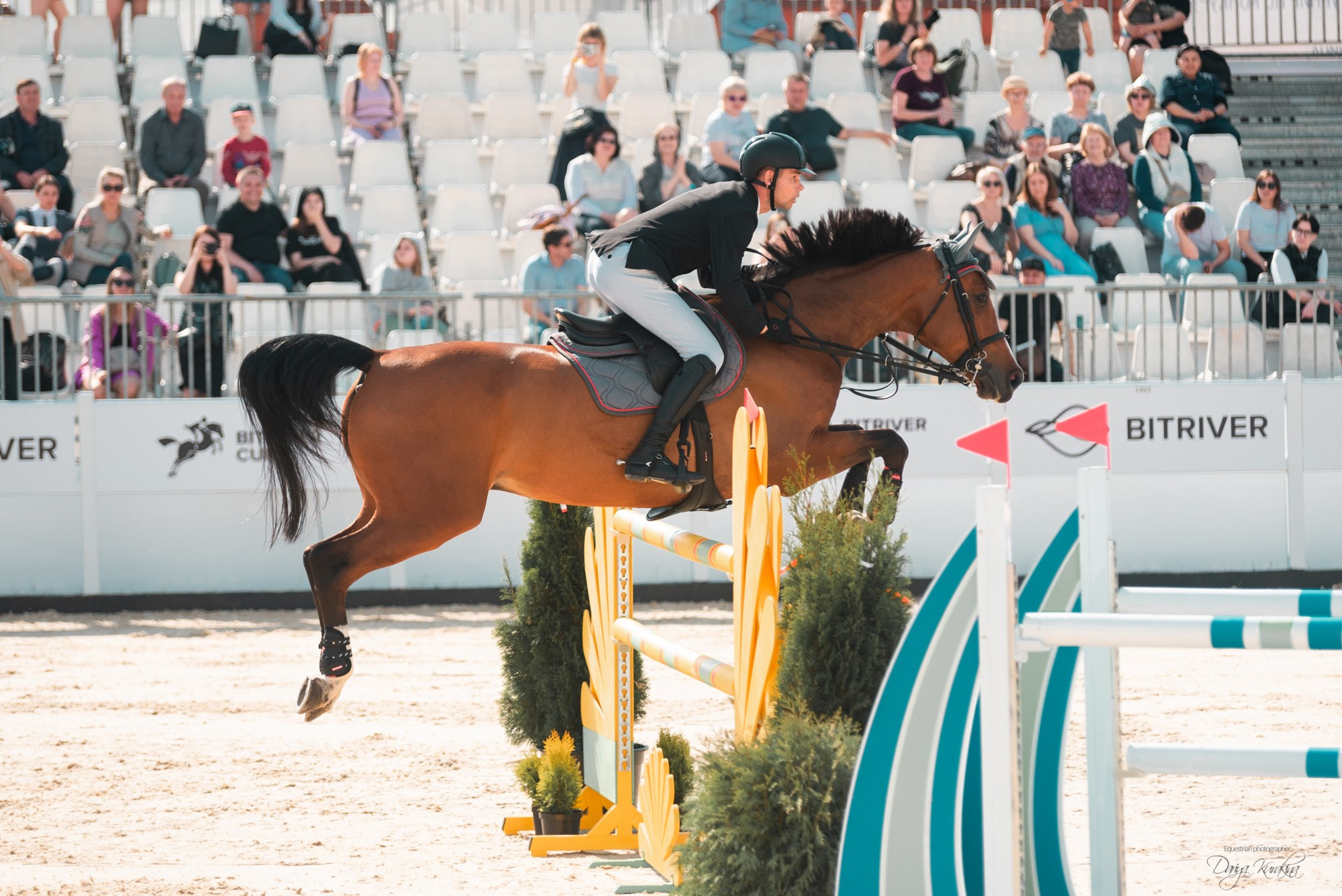 BITRIVER CUP 2023. Конный фотограф Куракина Дарья • Фотосессии с лошадьми