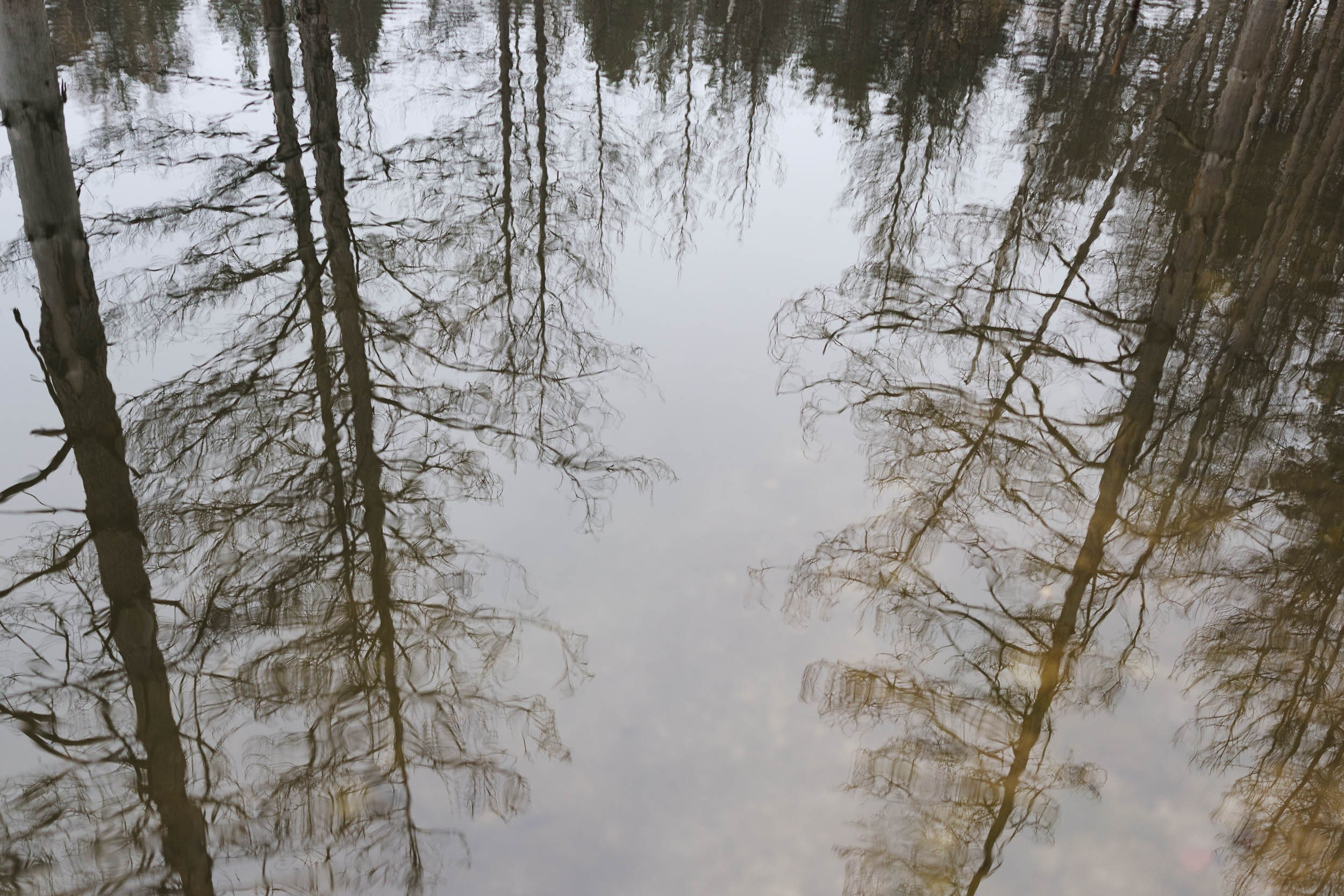Фотосъемка за городом. Фотограф-анималист в Москве и Московской области Татьяна Фролова