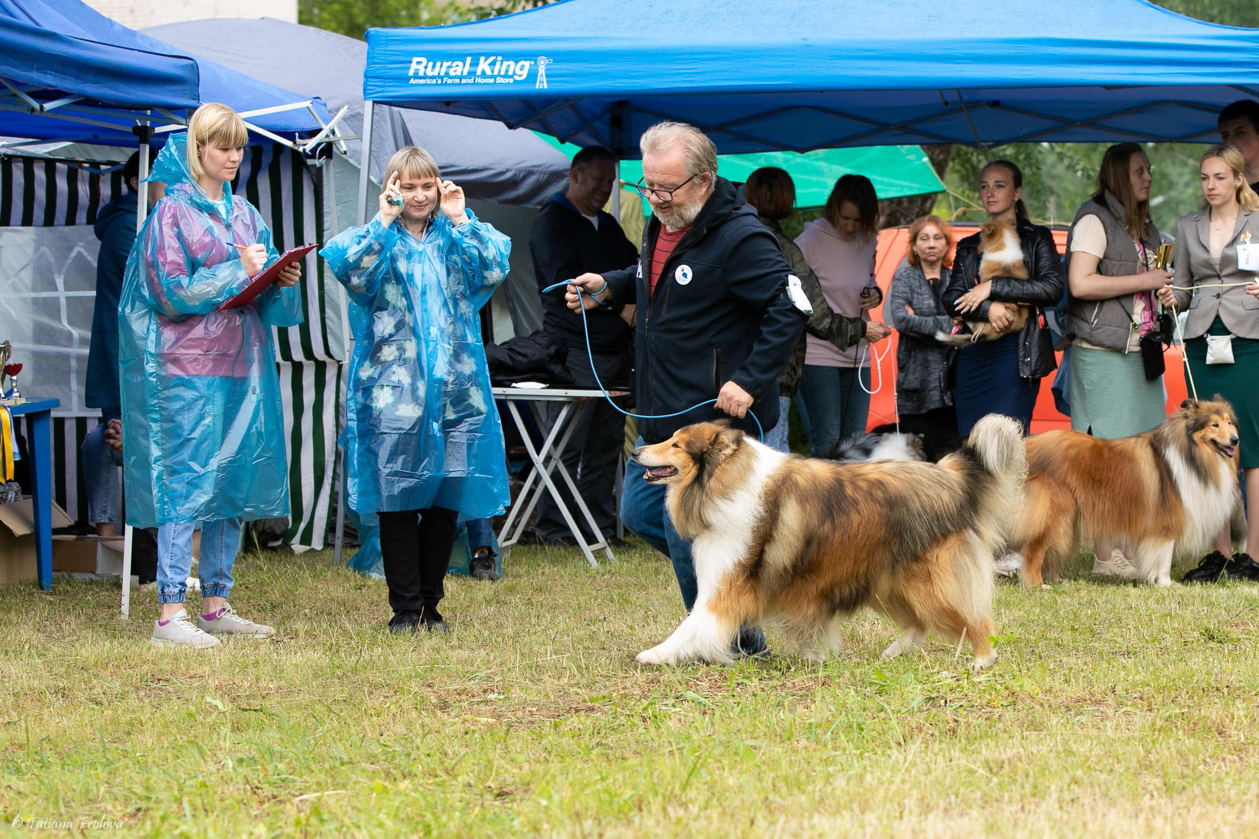 Фотосопровождение выставки собак в Московской области и Москве. Фотограф-анималист в Москве и Московской области Татьяна Фролова
