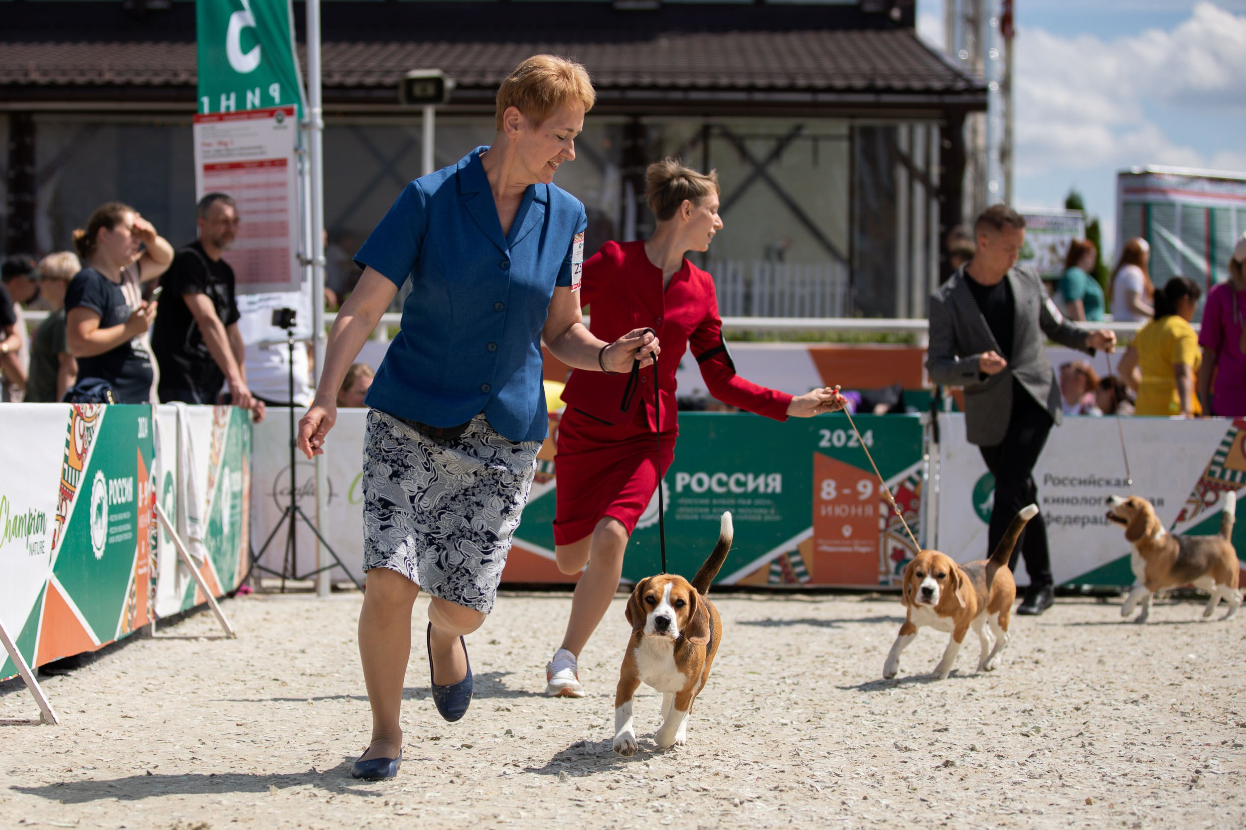 Репортаж с выставки Россия. Фотограф-анималист в Москве и Московской области Татьяна Фролова
