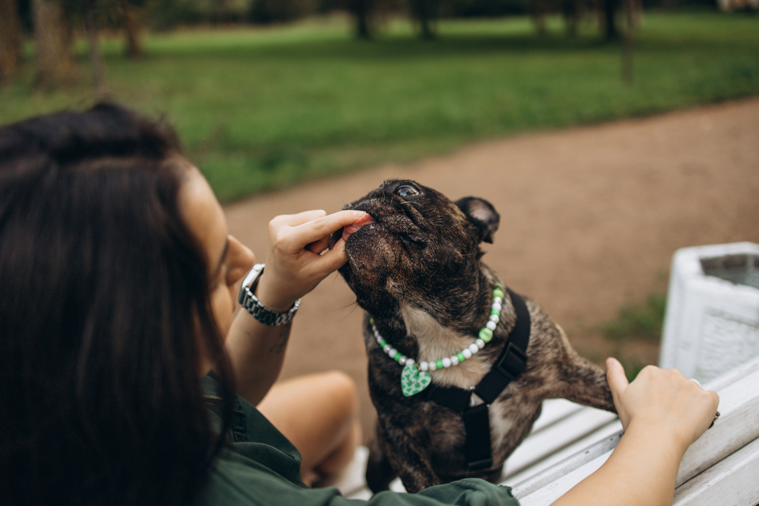 Олеся и Луи. Фотограф — Анималист | Санкт-Петербург
