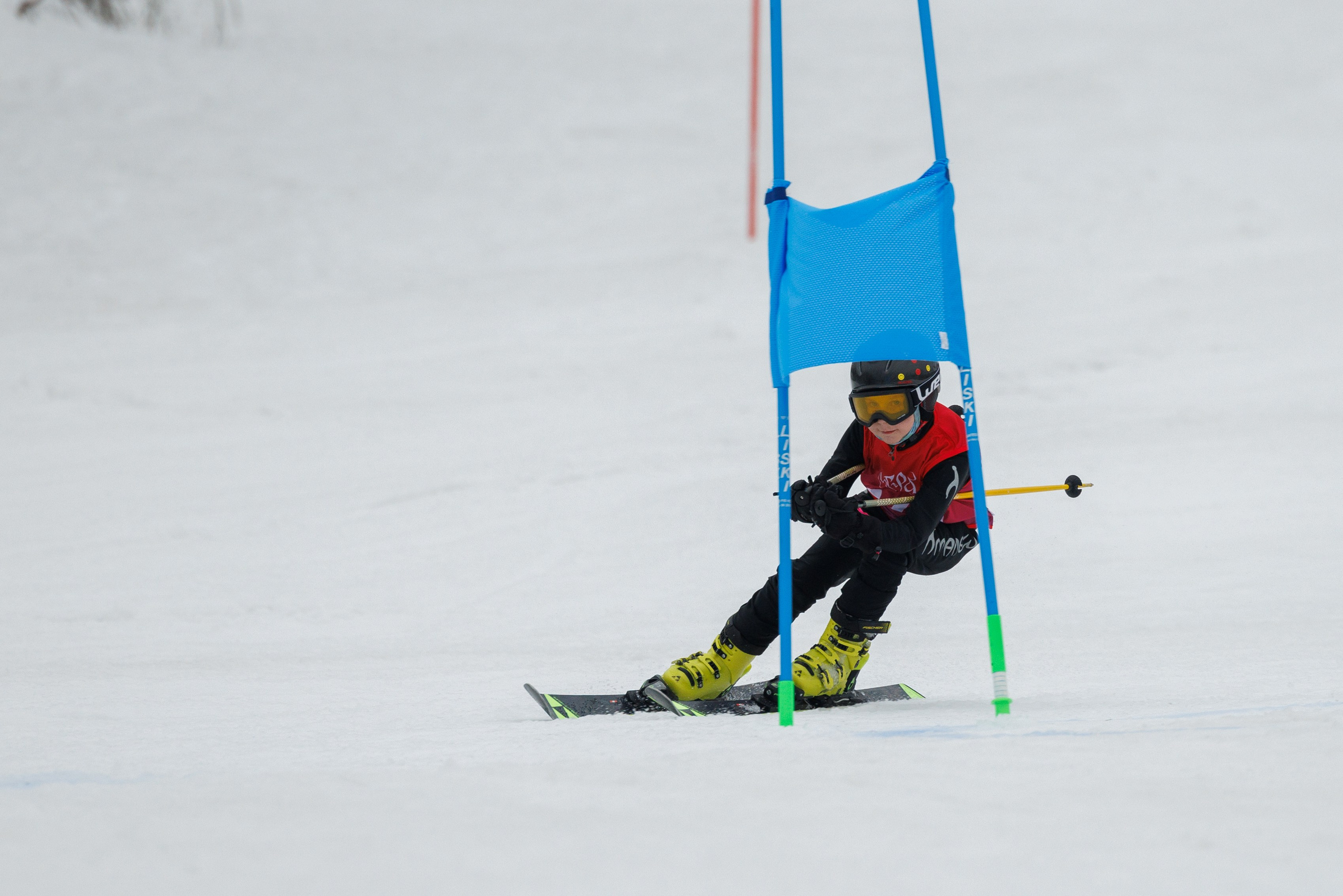 IGORA KIDS CUP 2024(spring). Фотограф Александр Заломаев
