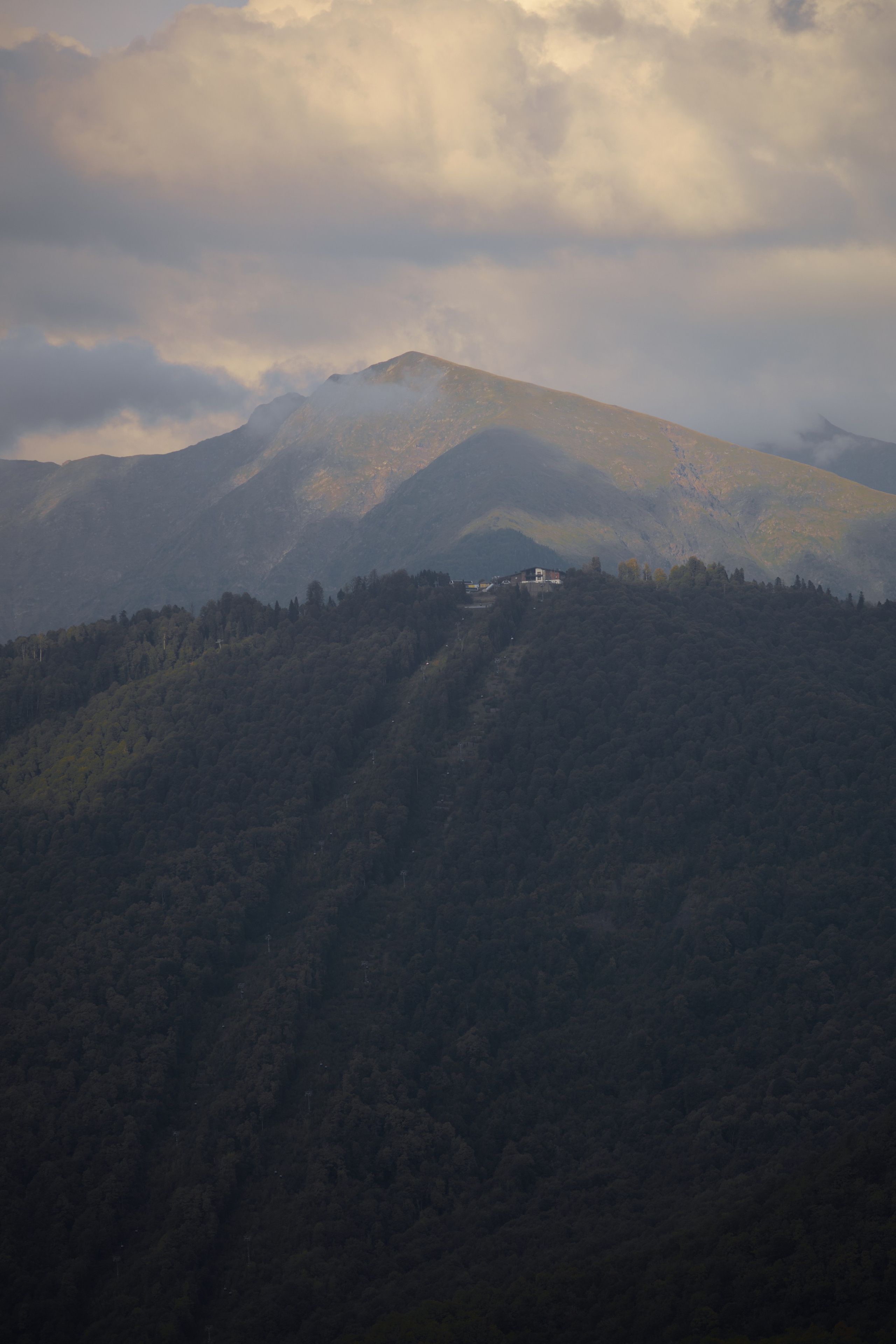 MURASHKA. Свадебный фотограф Сочи Москва Дубай Снежана Магрин
