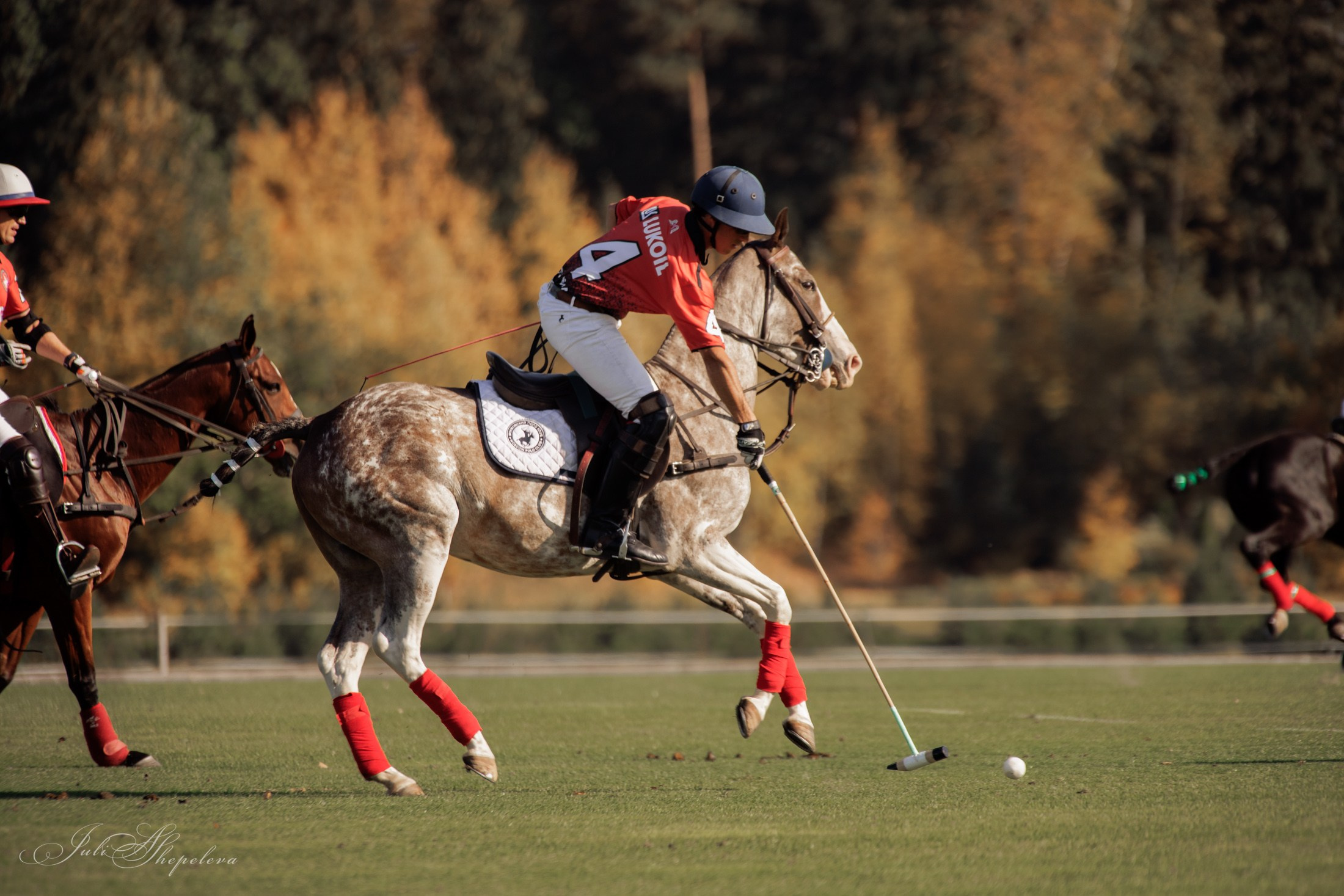 Осенний кубок по конному поло. Детская Конная фотография в Москве Юлия Шепелева