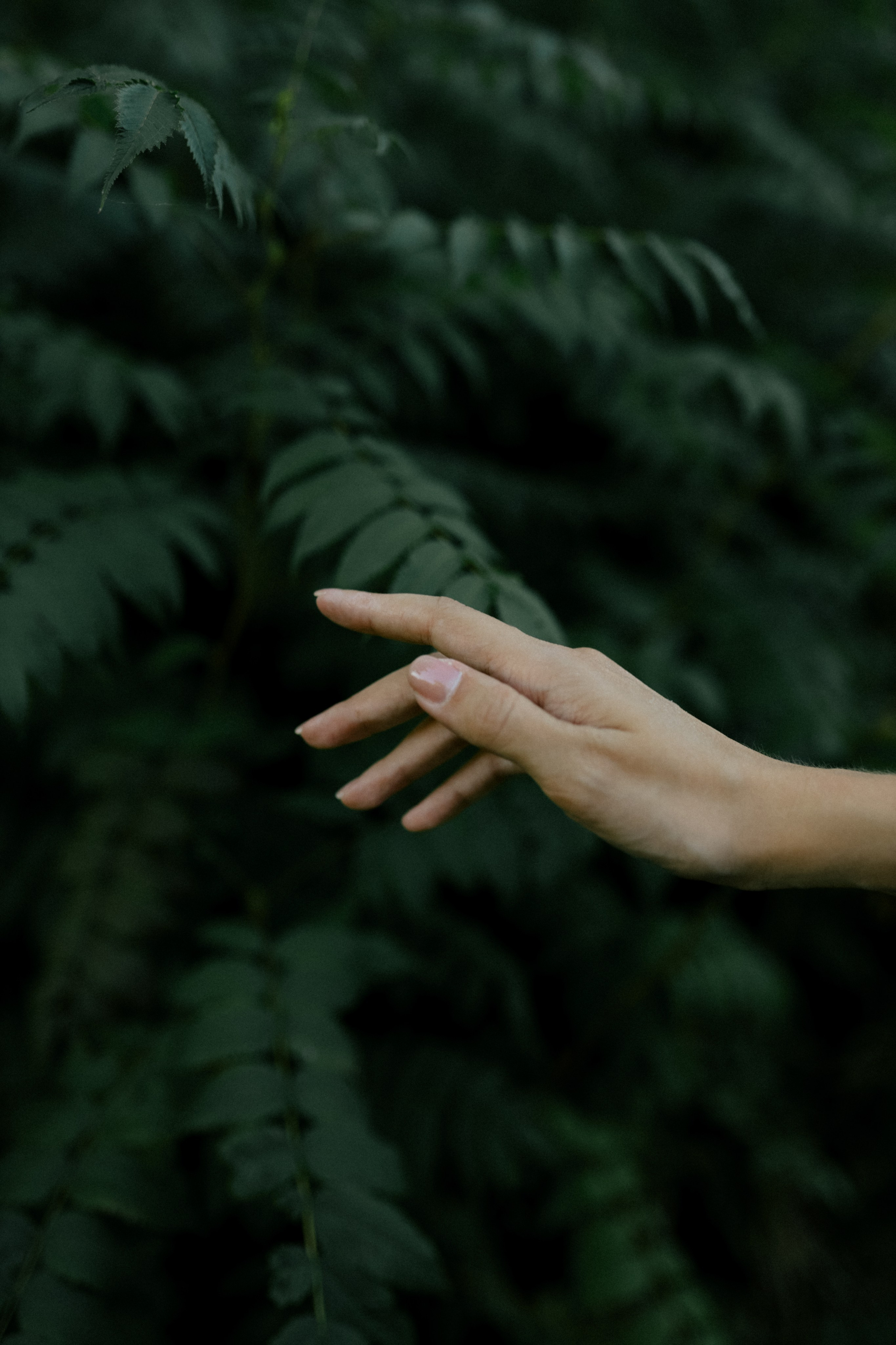 Всегда буду рядом. Свадебный и семейный фотограф в Варшаве