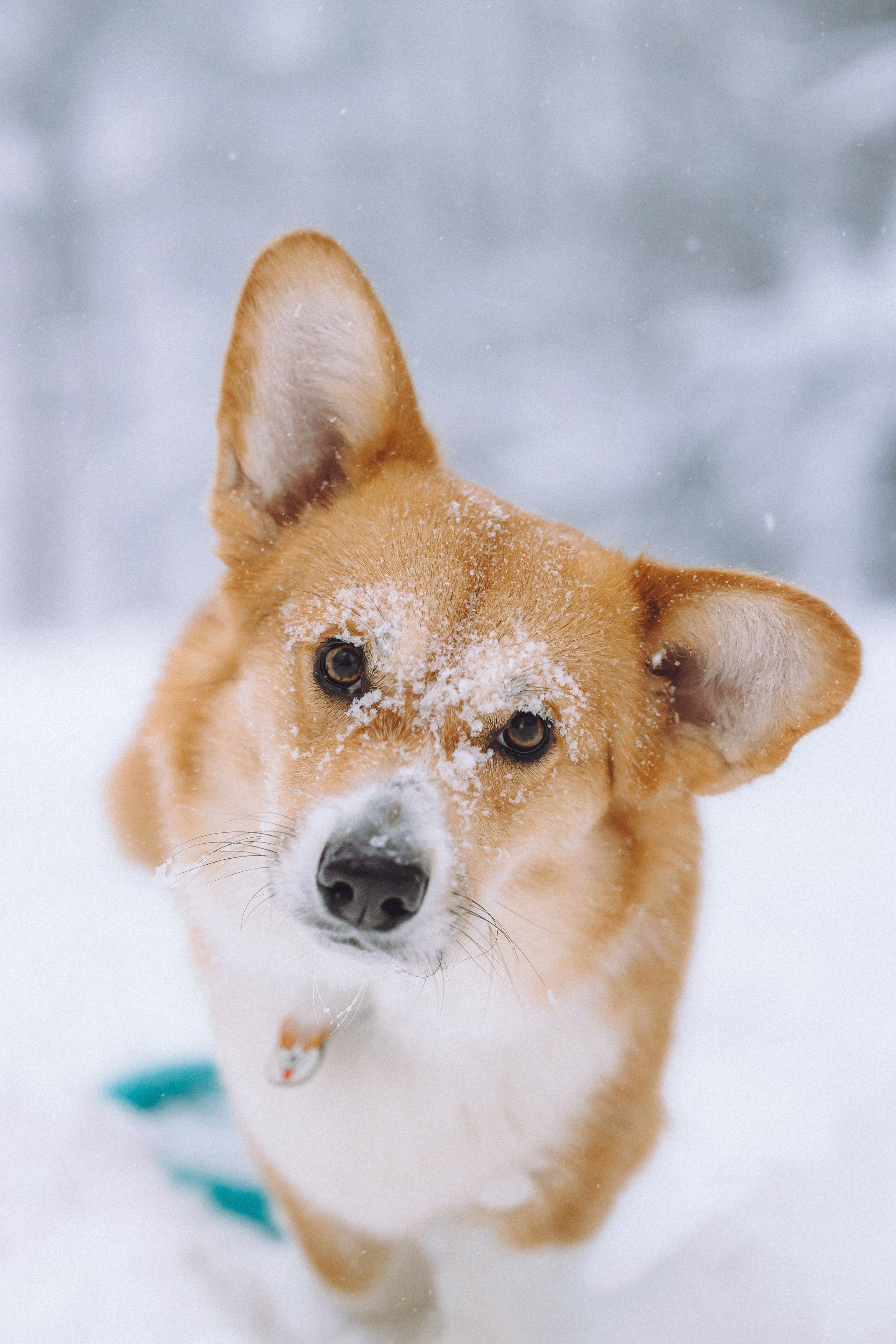 Юля и Юпитер