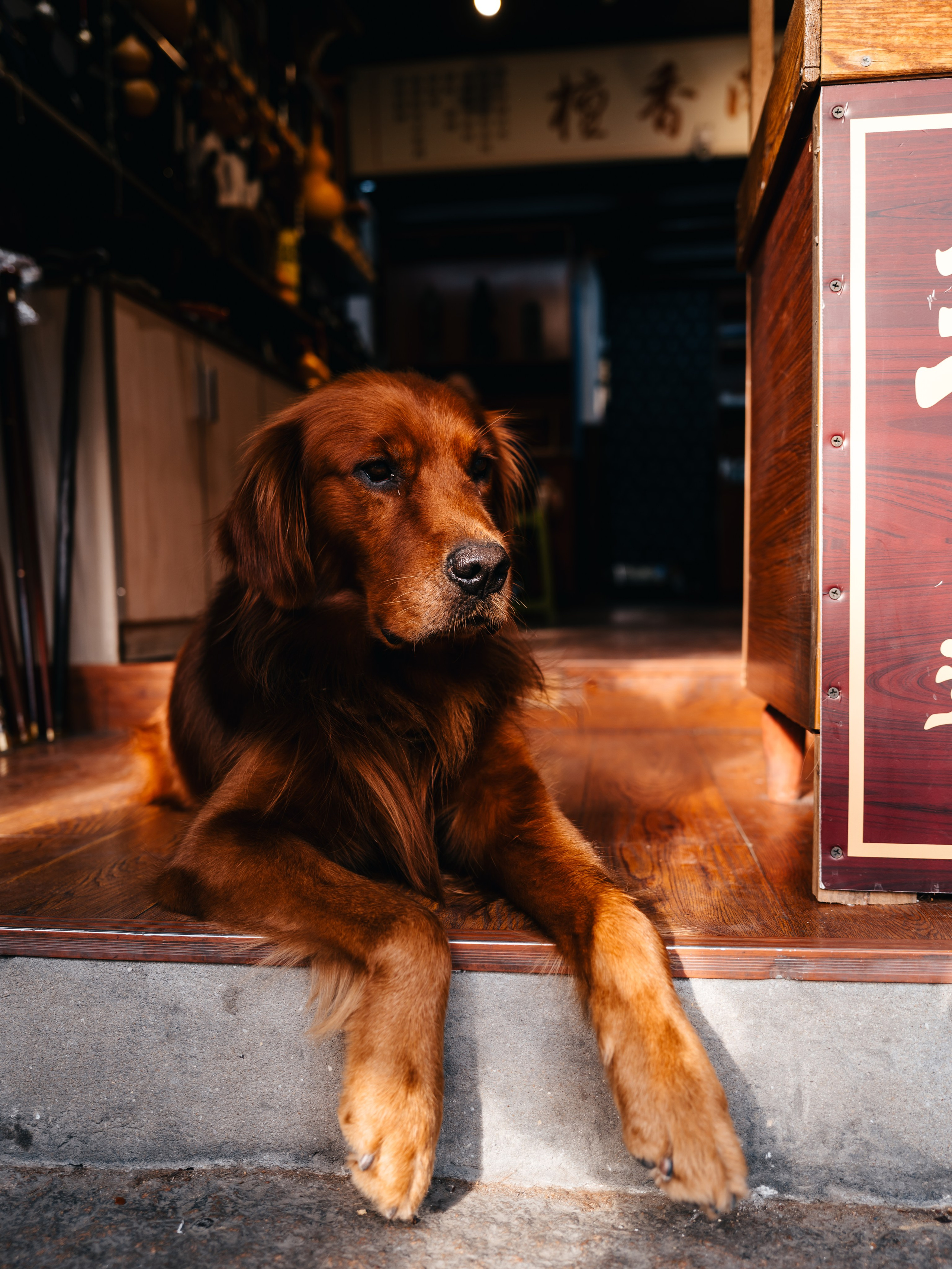 China/Китай. @tomrus: Рустам Шагиморданов — фотограф