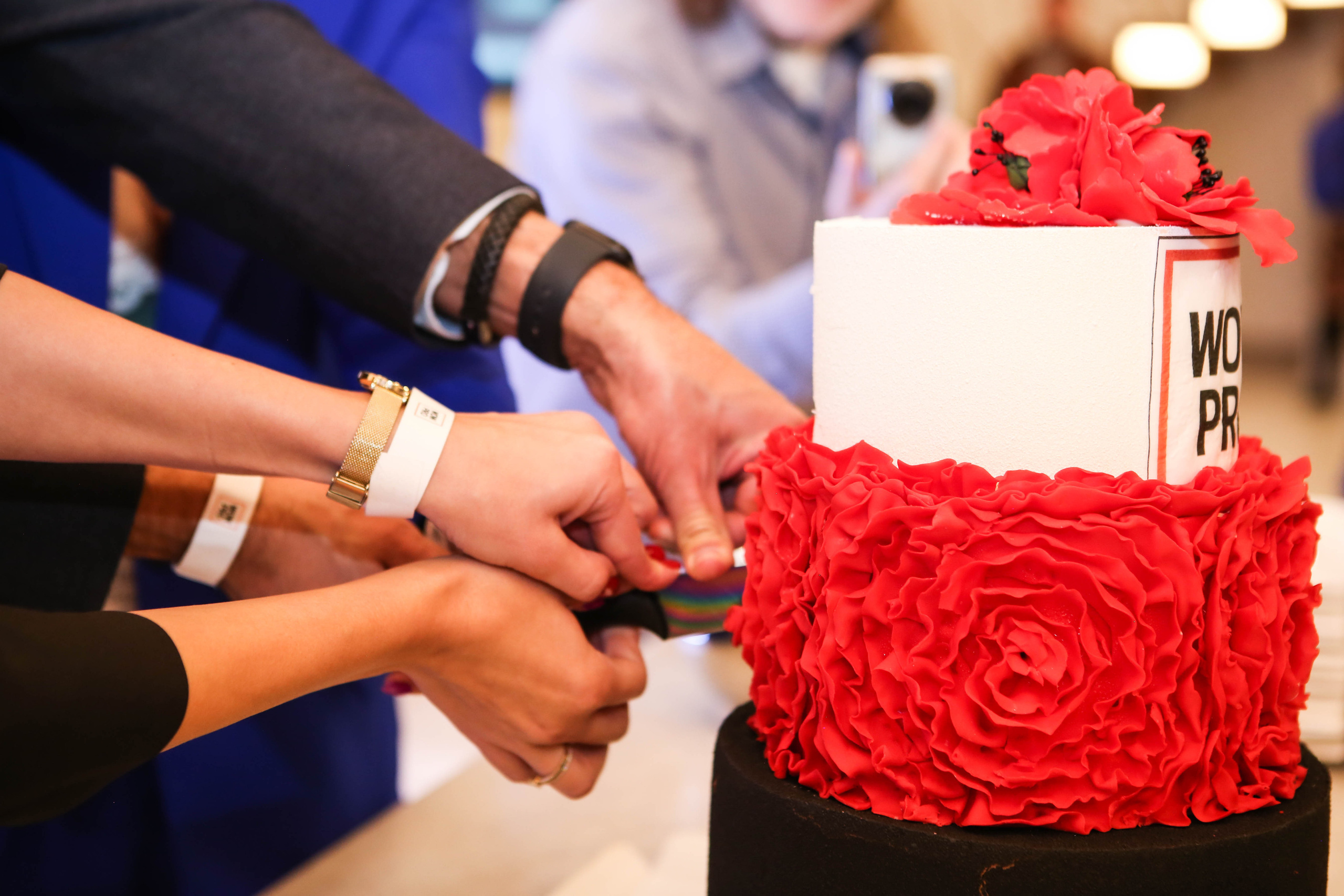 WOW PRO | Норникель, VK, ТехноНИКОЛЬ, Газпромнефть-Заполярье, КОМУС, Спортмастер. Фотограф Абакумова Анастасия